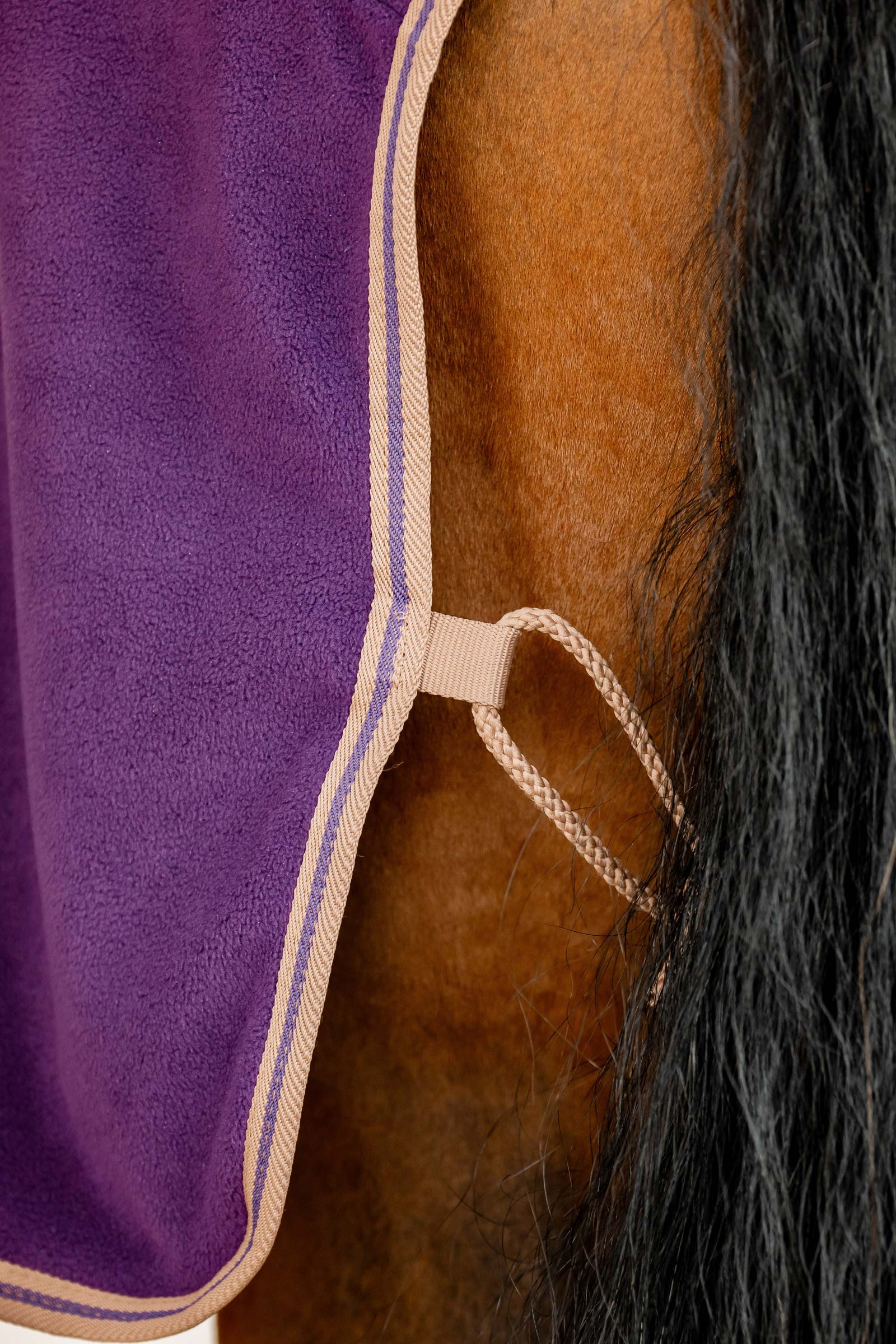 Horseware Amigo Coperta in Pile