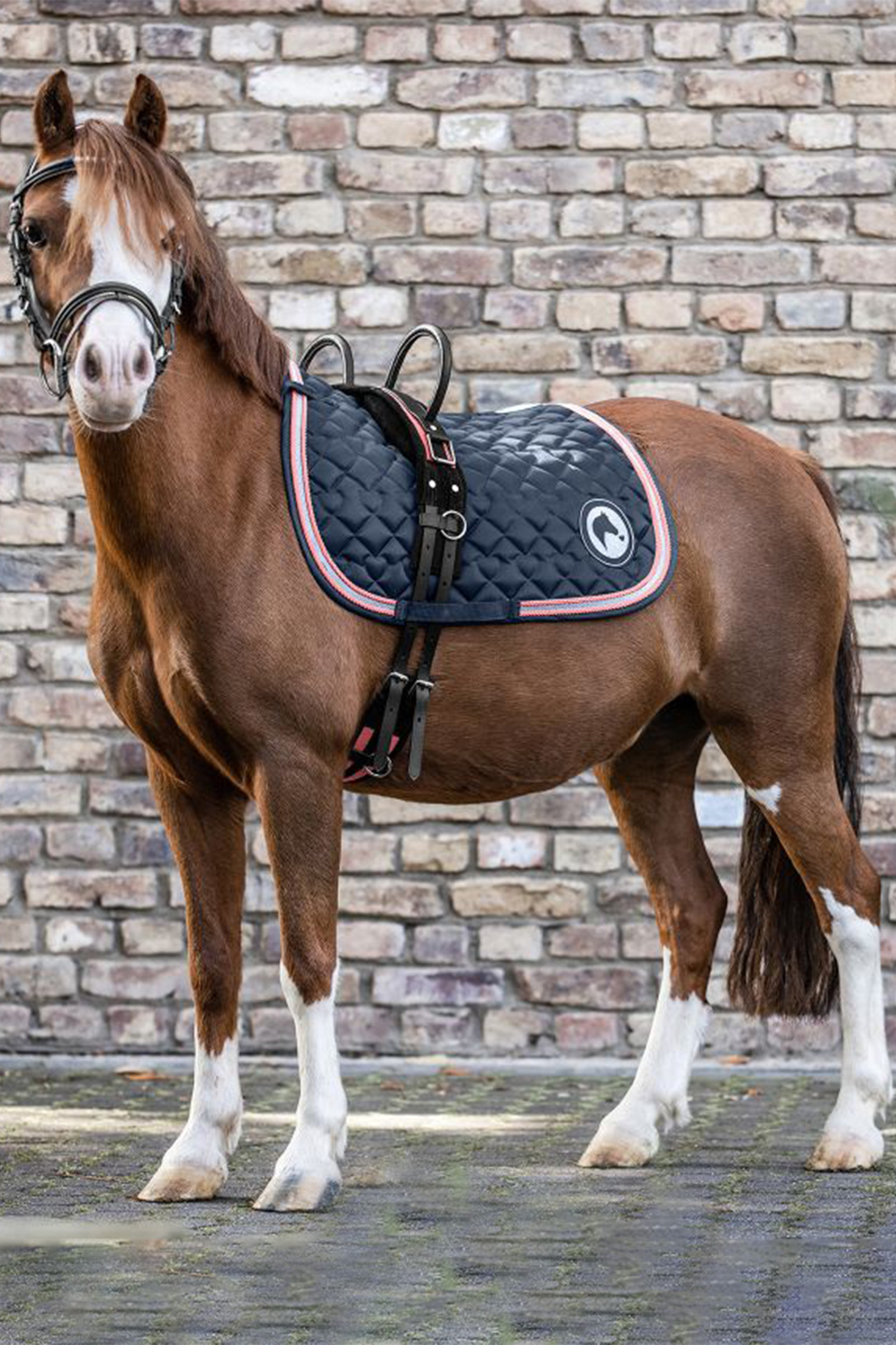 Waldhausen Surcingle con due maniglie