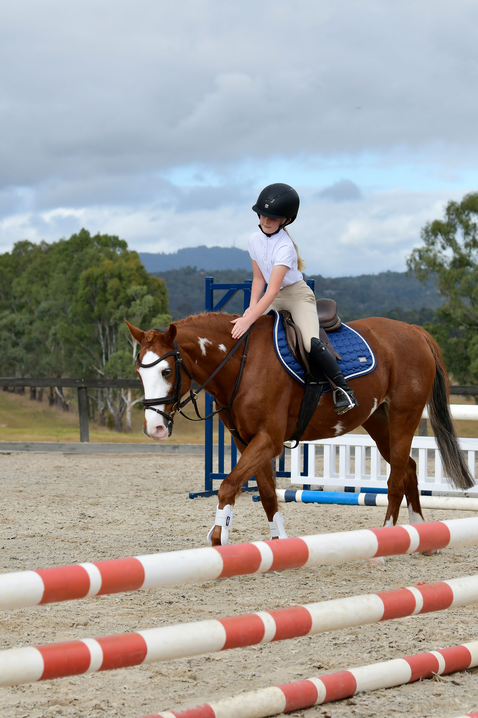 Collegiate Comfitec Opulux testiera semplice imbottita con capezzina combinata hannoveriana