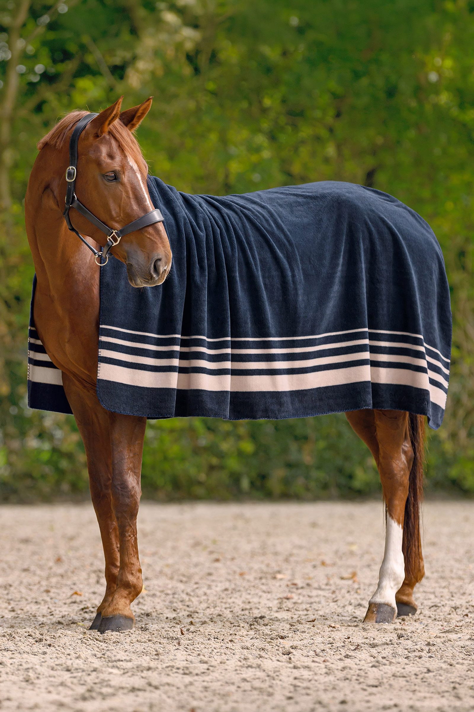 Waldhausen S&ouml;lden coperta in pile