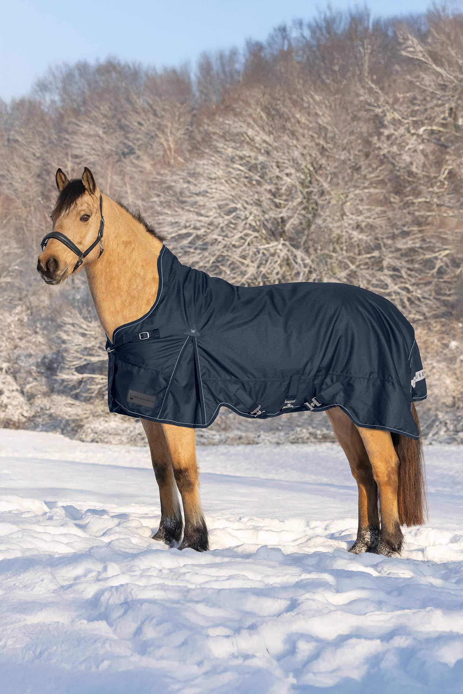 Waldhausen Scandic Coperta da turnout leggera con collo alto, 200 g