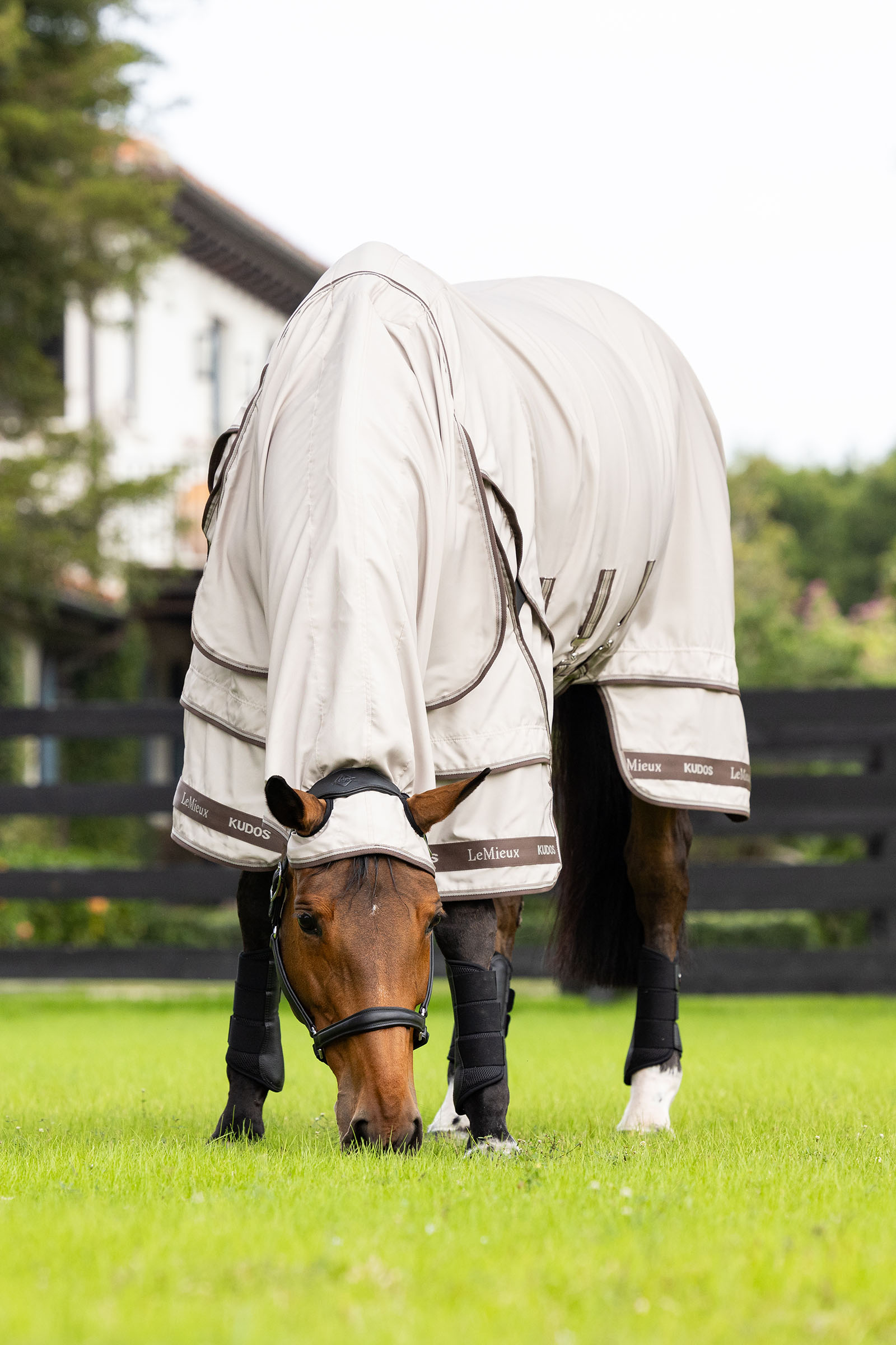 LeMieux Kudos coperta anti-prurito