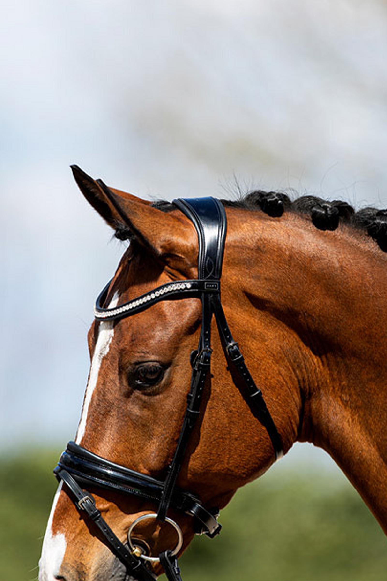 ANKY Anatomic Briglia in pelle verniciata con imbottitura morbida