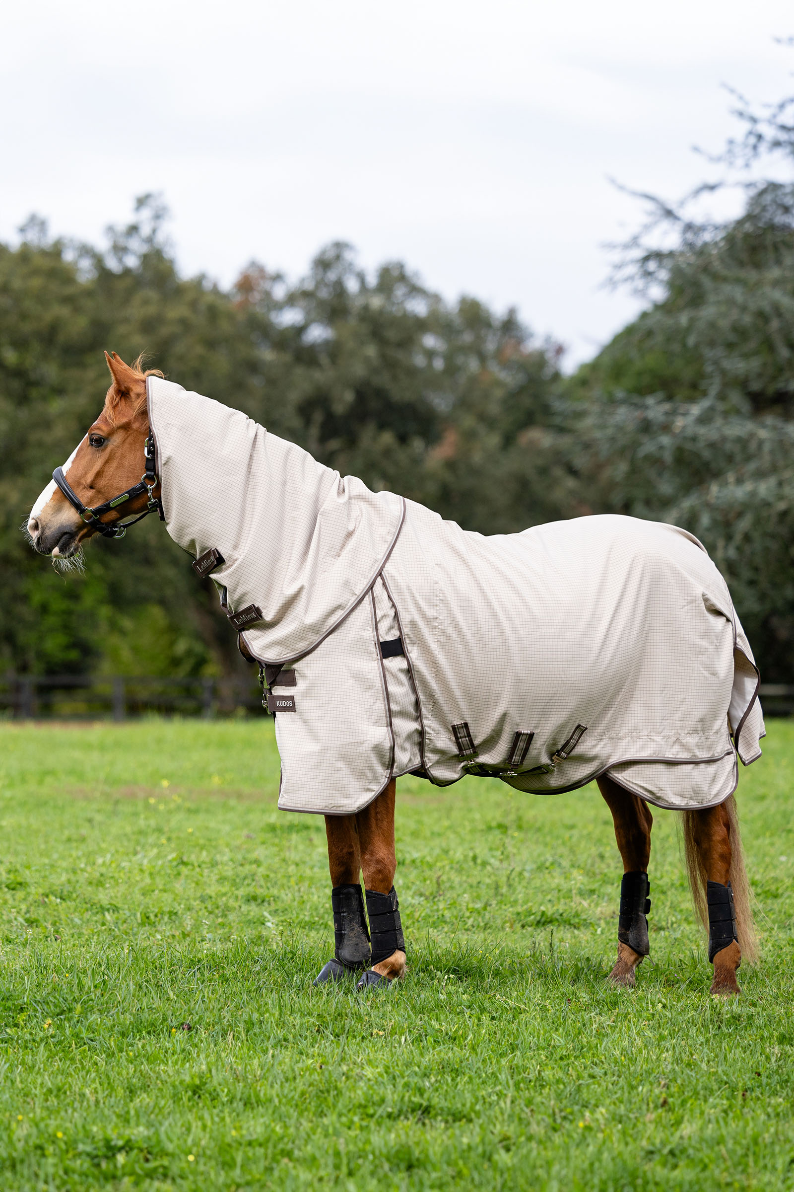 LeMieux Kudos coperta da paddock