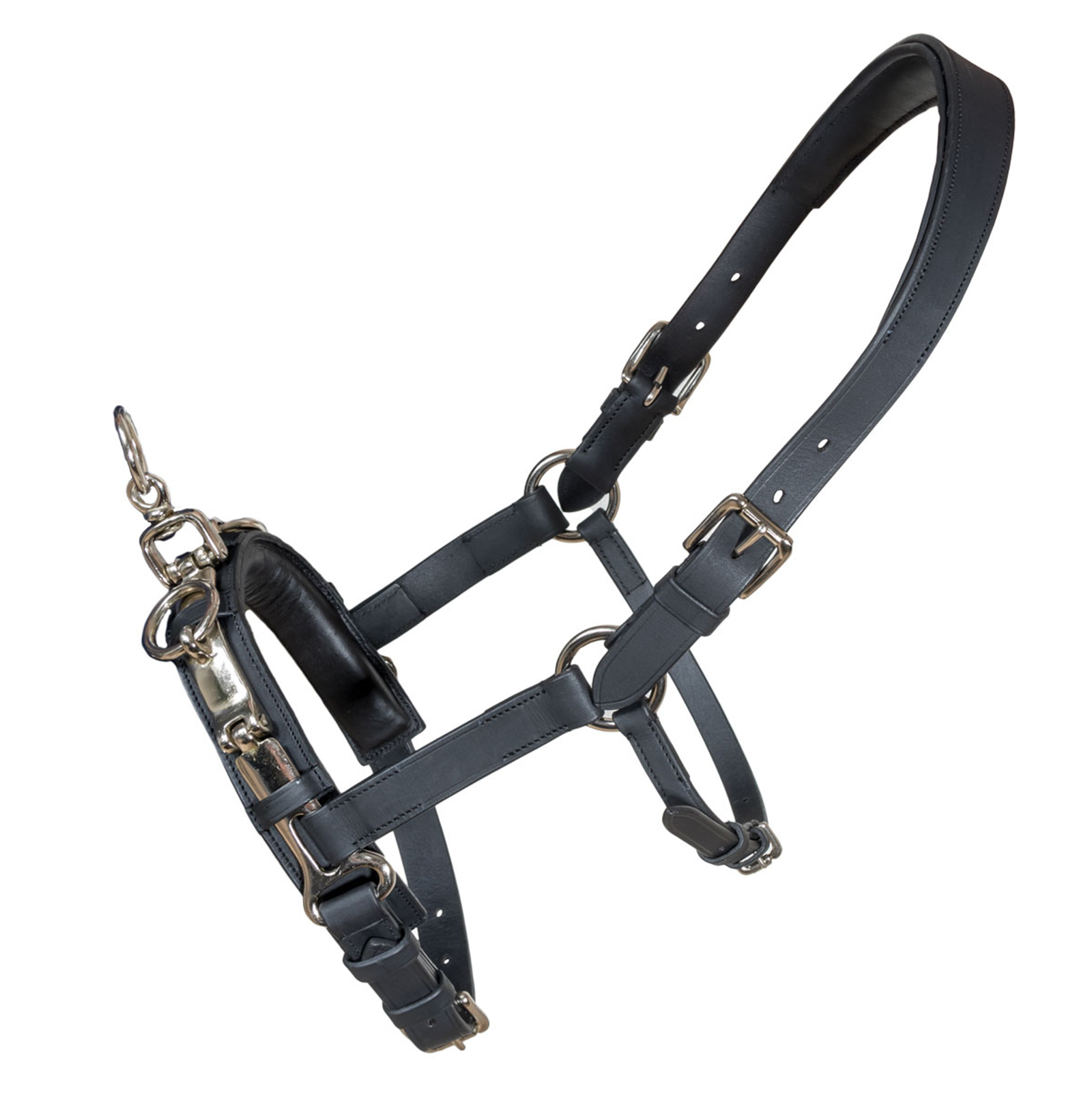 Karlslund Fengur Capezzone