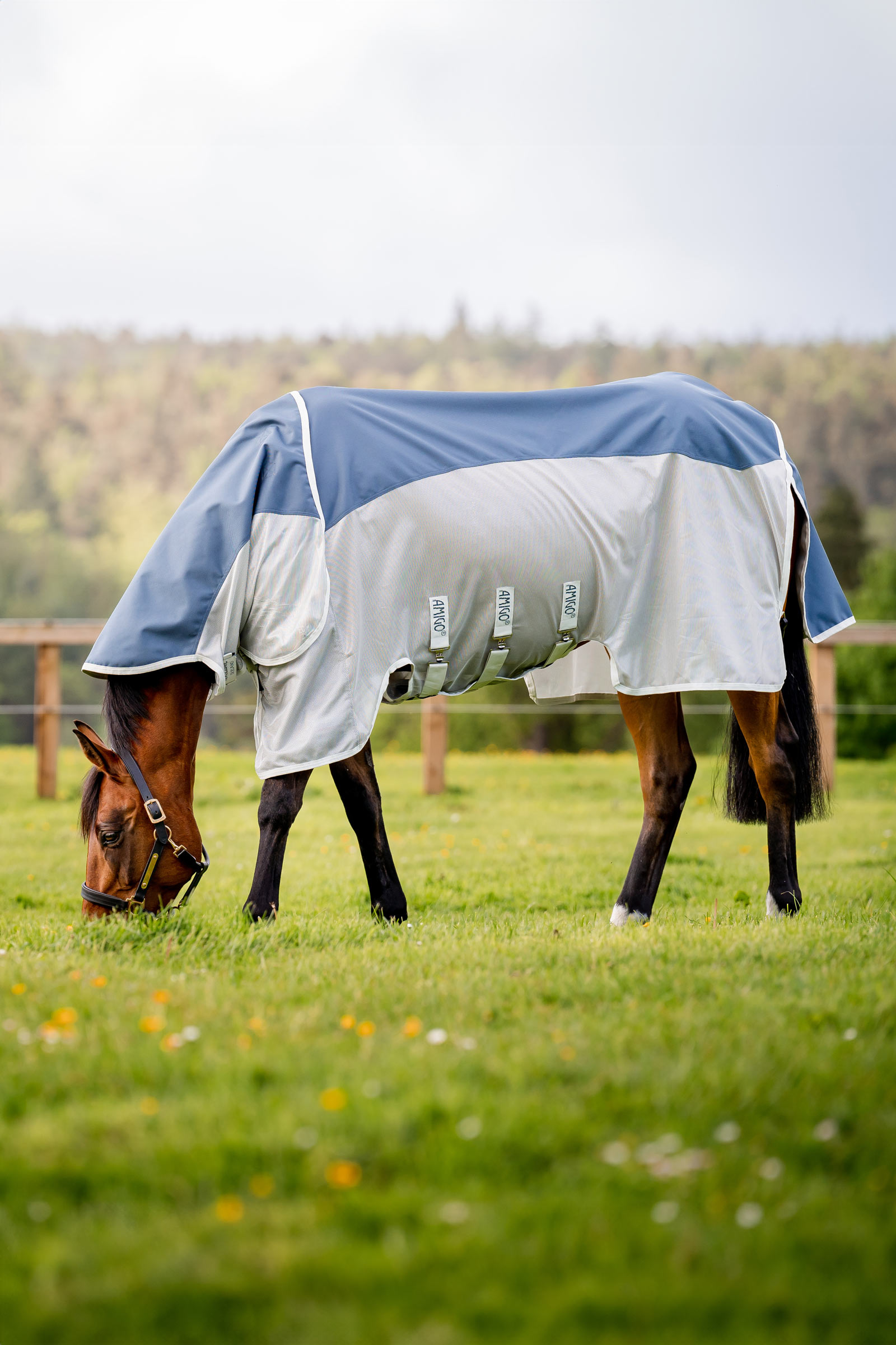 Horseware Amigo AmEco Combi coperta antimosche