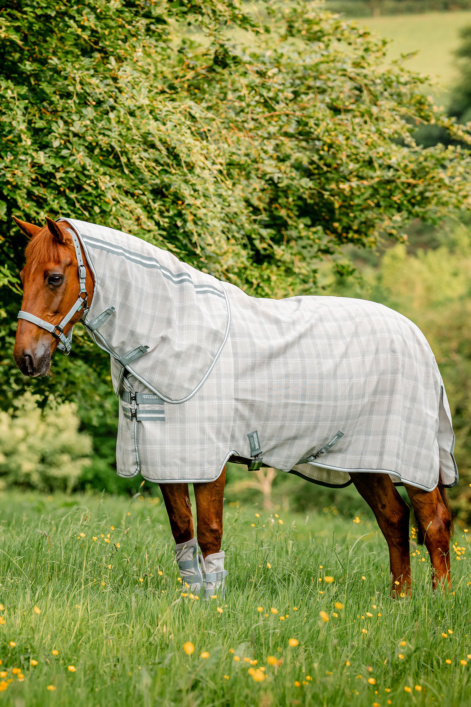 Witney Charcoal Horseware Newmarket Plus Coperta antimosche