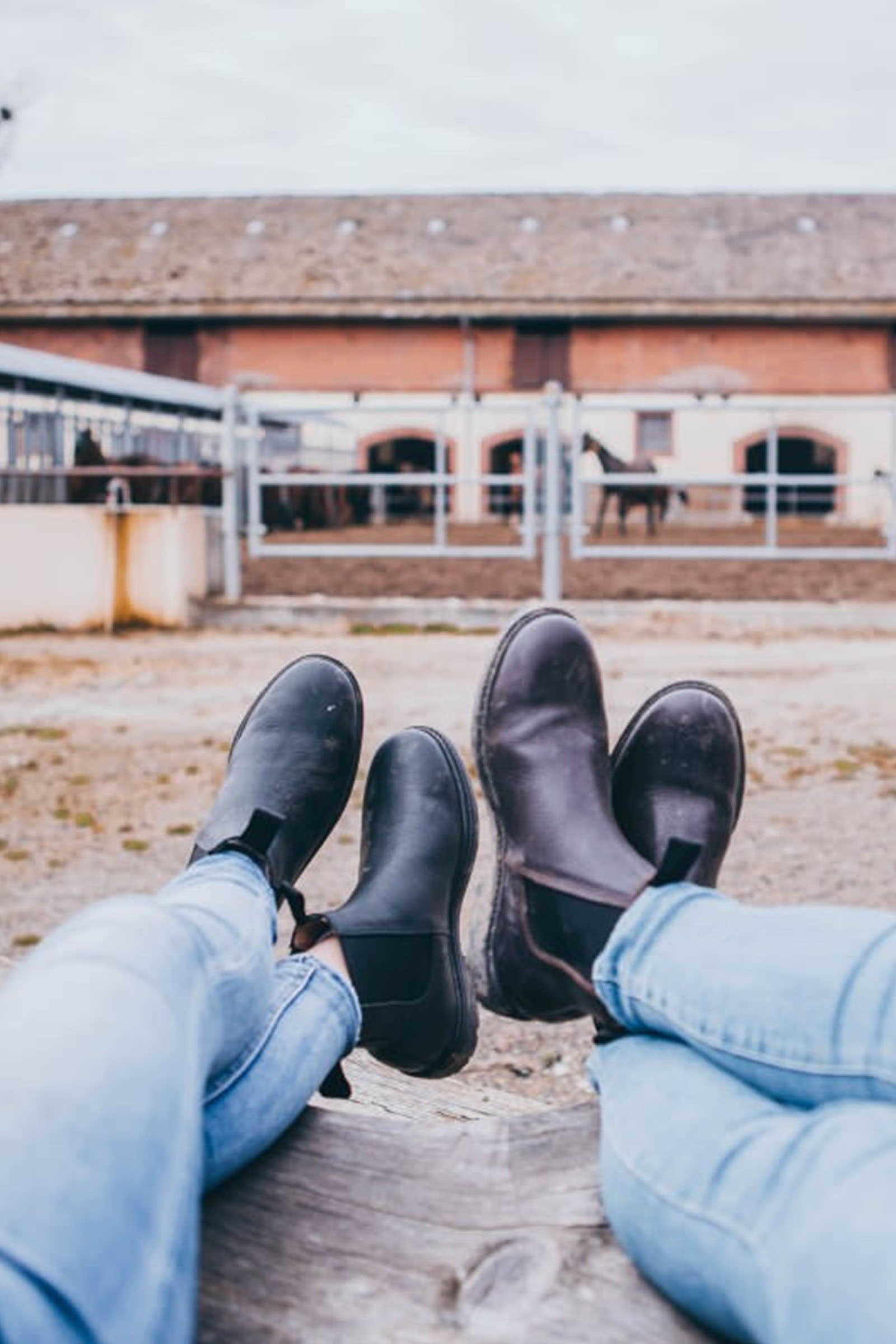 Suedwind Footwear 1888 Stivaletti Jodhpur Chelsea