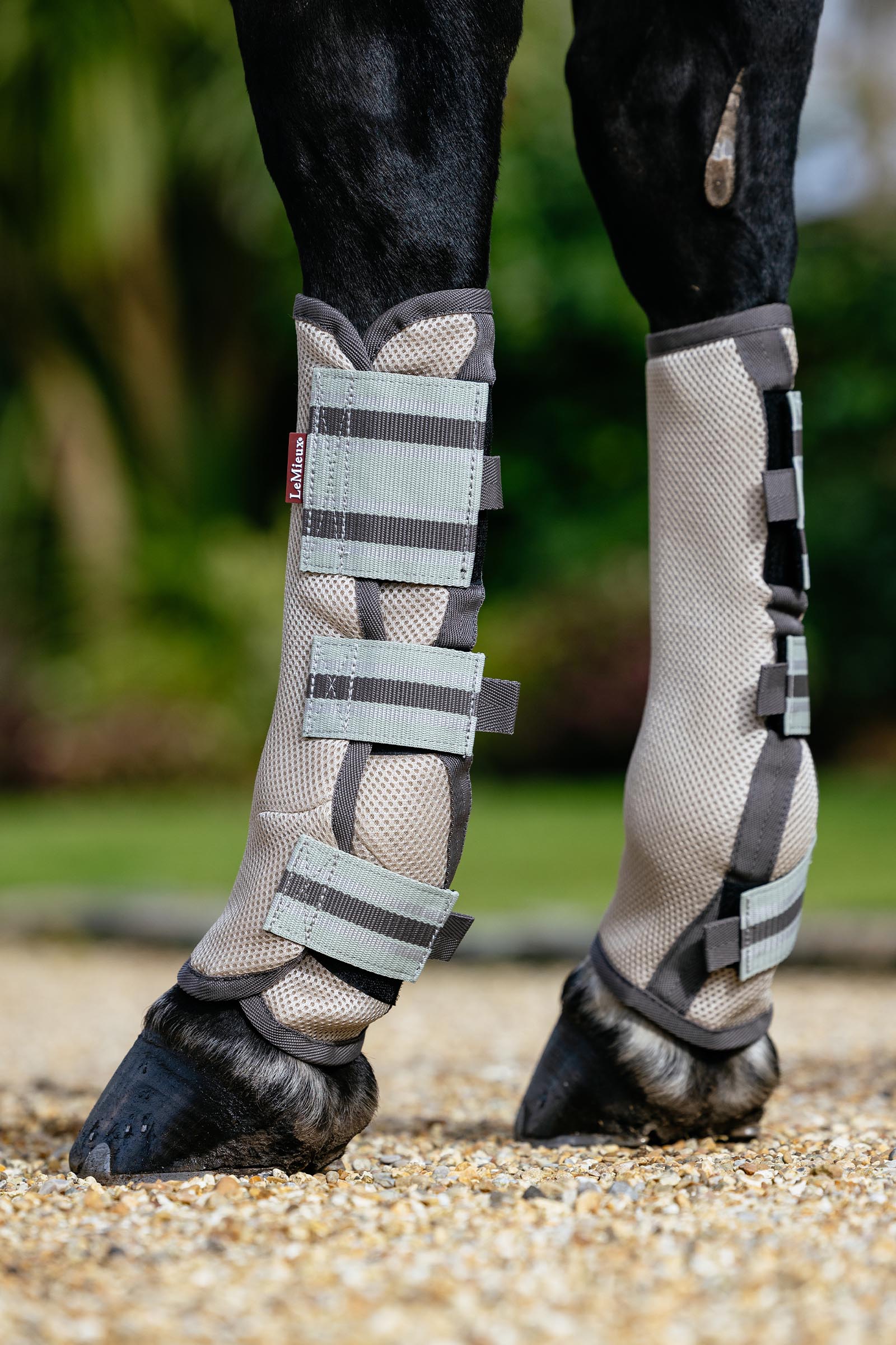 LeMieux Arika stivaletti antimosche in mesh set da 4