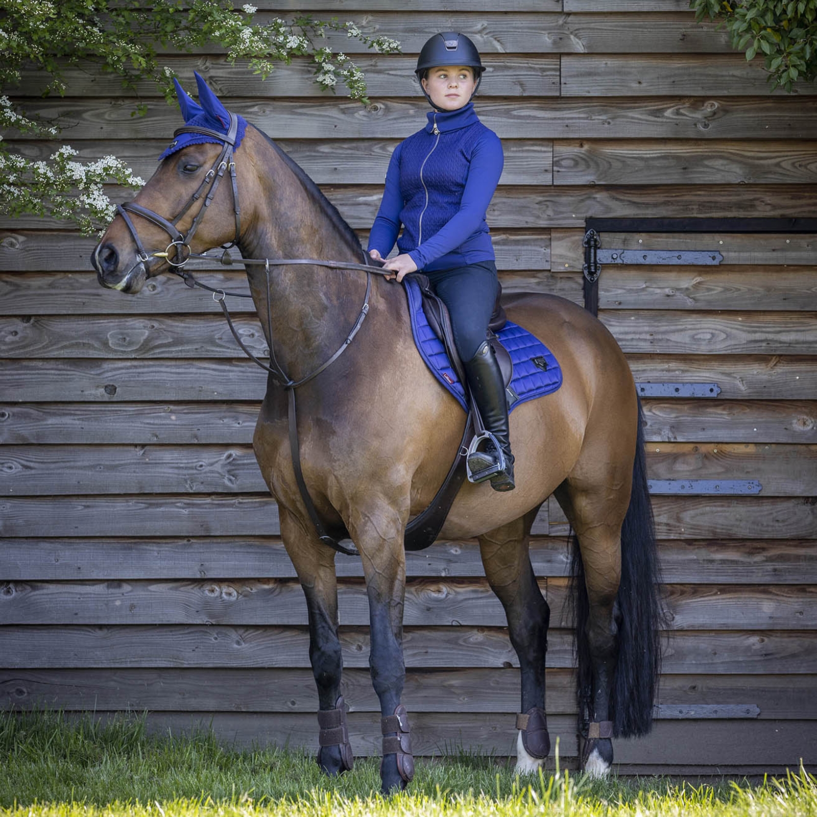 LeMieux Loire Classic Square CC Sottosella da salto