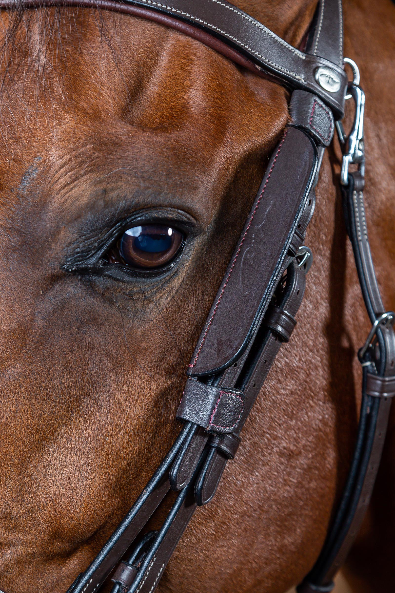 Dy'on Working mini paraocchi