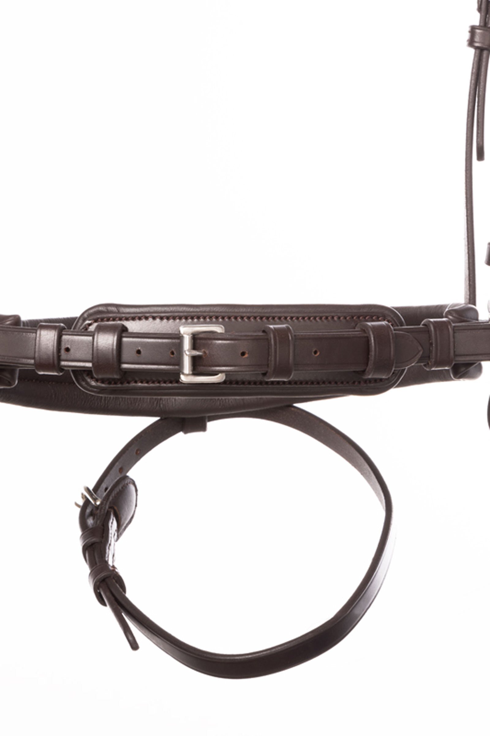 Kavalkade Zora Krank Trento