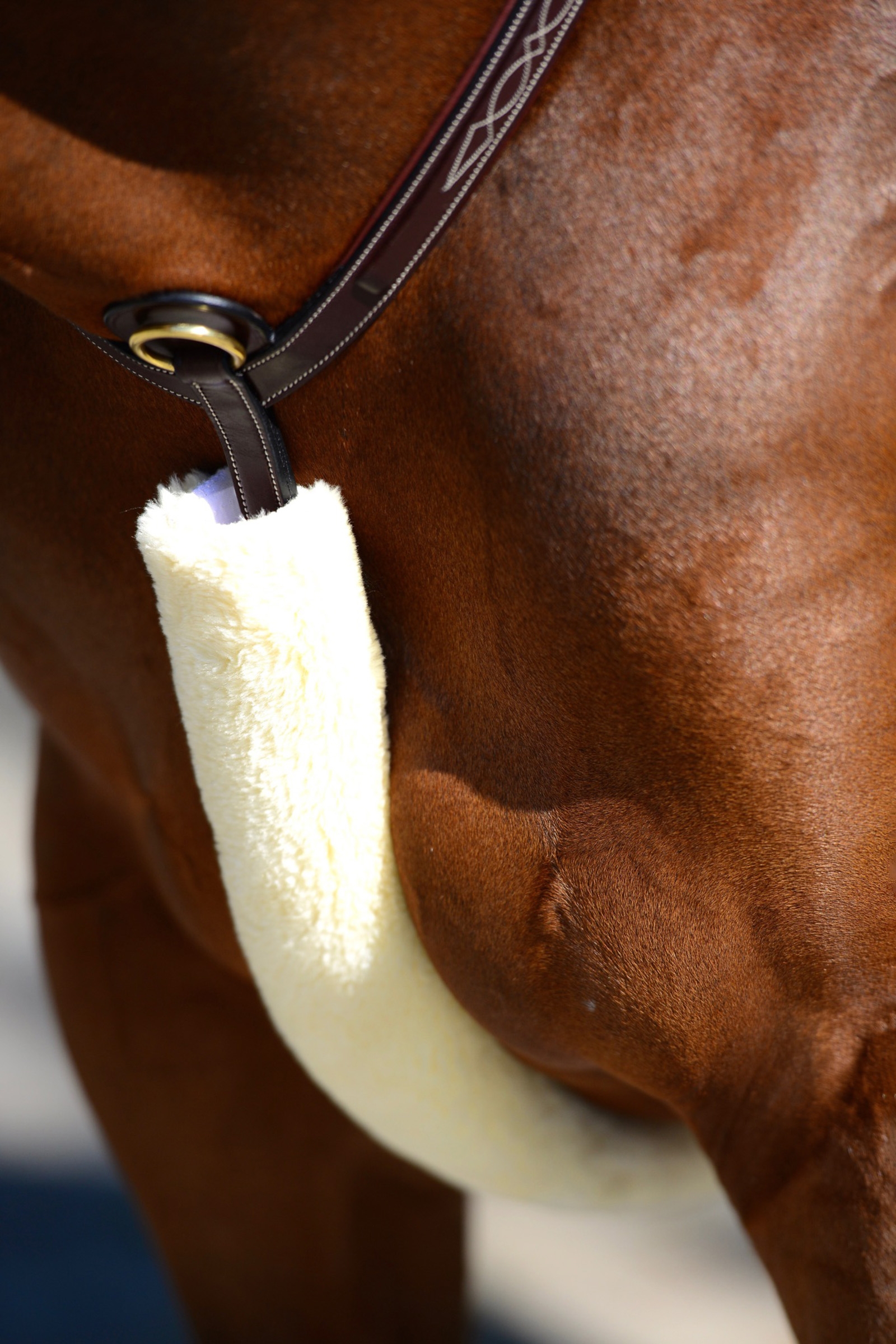 Natural Copripettorale in pelle di pecora Kentucky Horsewear