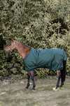 Kentucky Horsewear Coperta da turnout All Weather, 160 gr