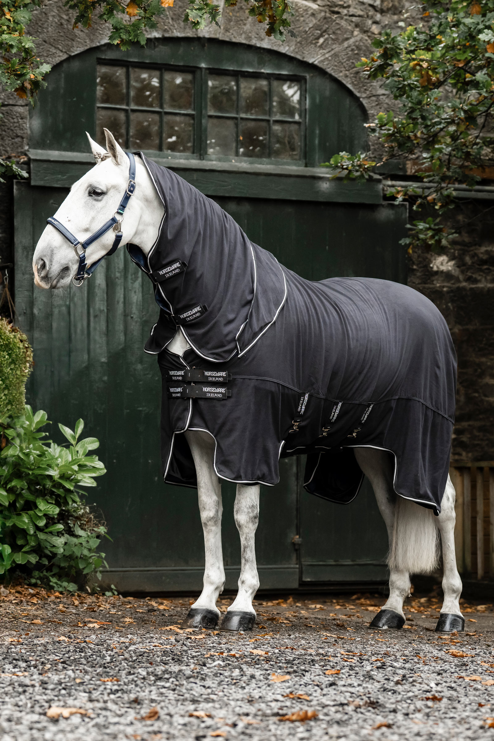 Black/Black/Silver Horseware Show Ready coperta