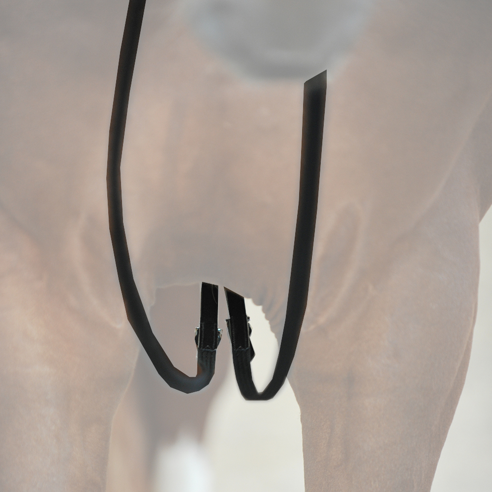 Kavalkade Redini palmate