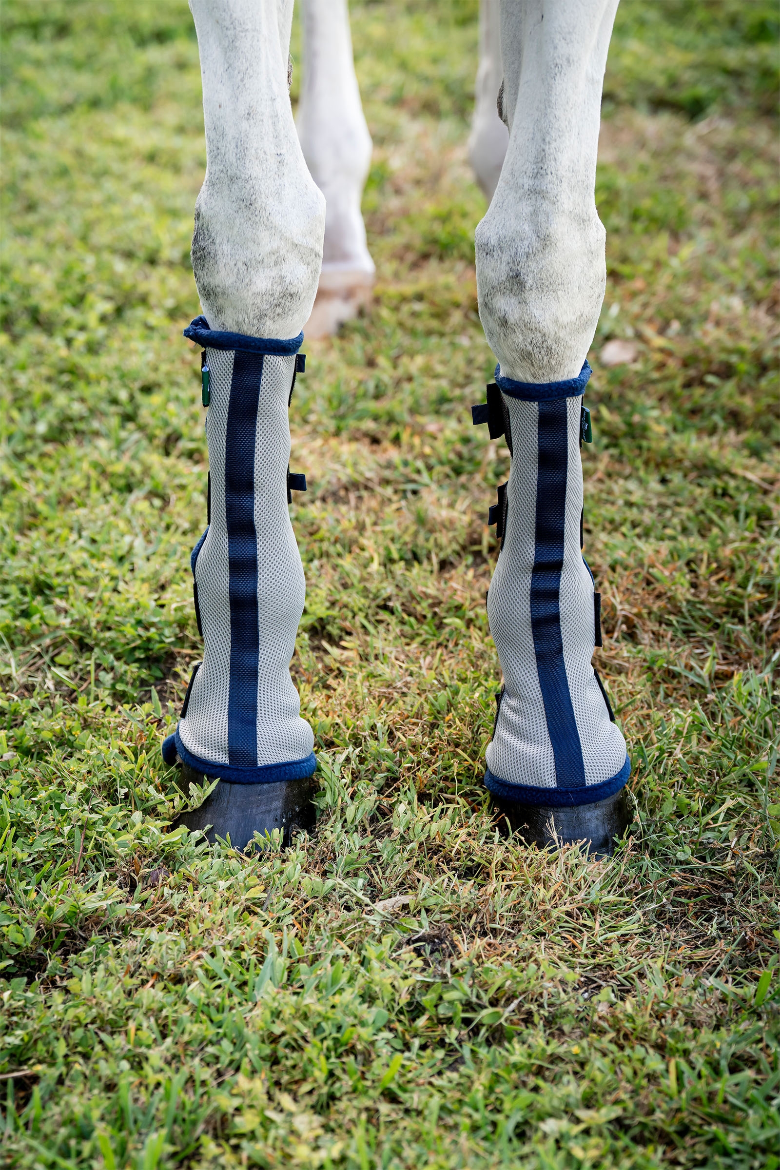 Horseware Fly Boots - set di 2