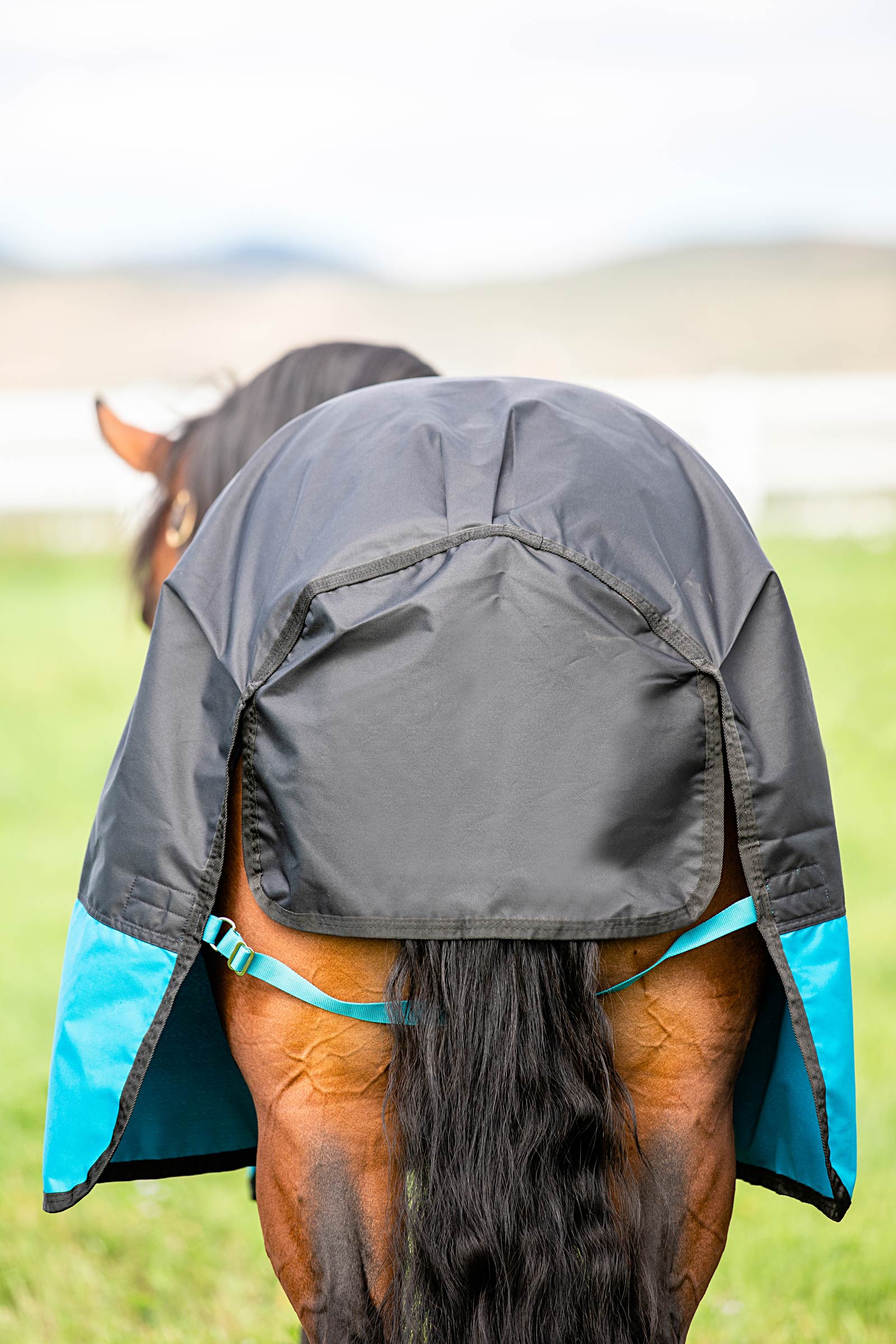 Horseware Mio coperta da turnout leggera, 200 g