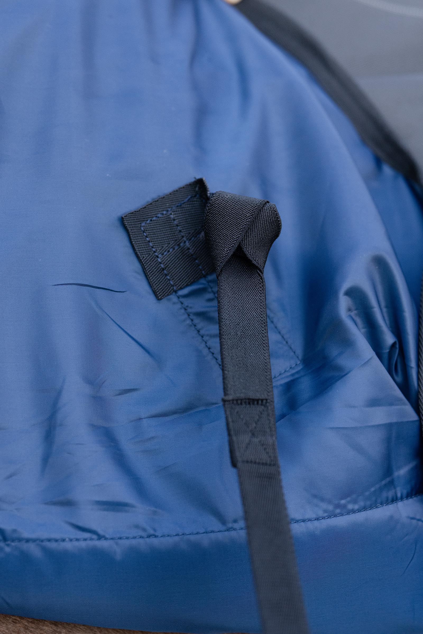 Horseware cinghie elastiche per le gambe