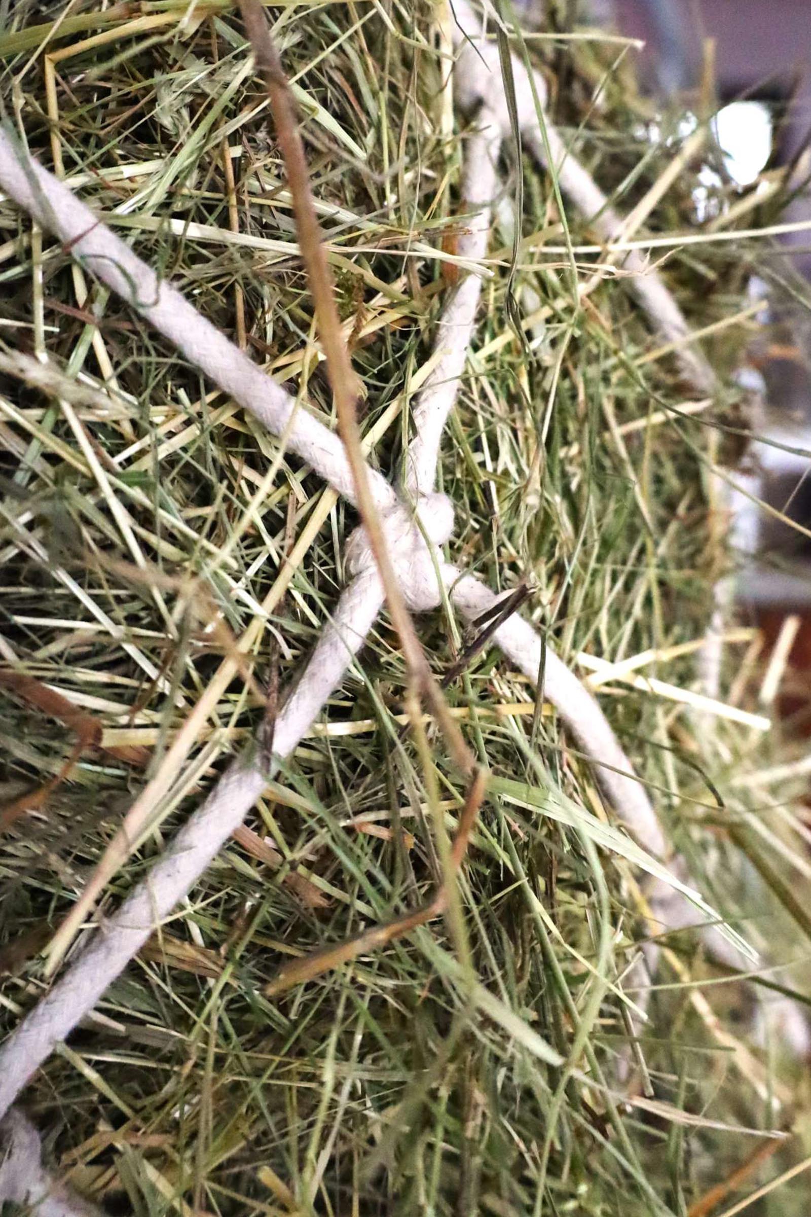 USG rete per fieno in cotone, maglia 10 x 10 cm