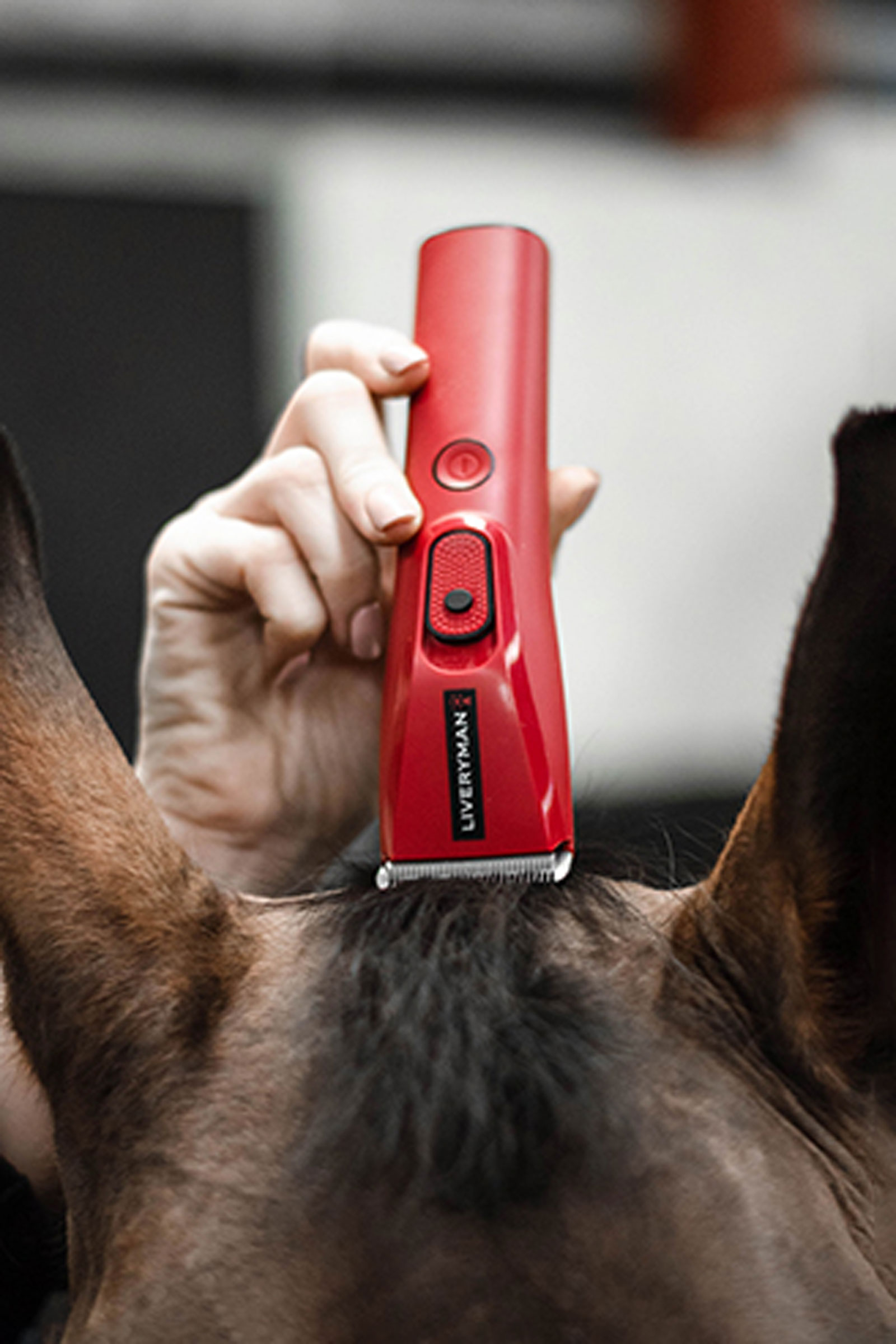 Liveryman Nova tosatrice per rifiniture