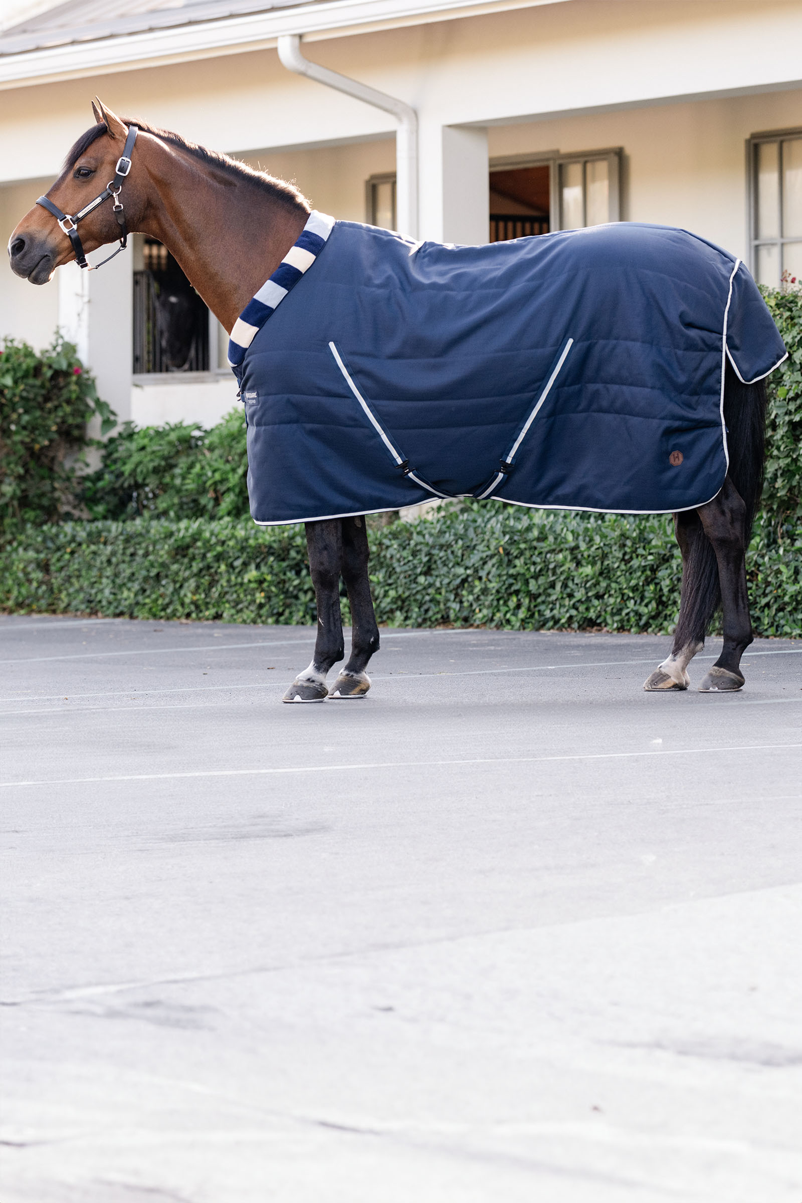 Horseware Newmarket Cosy Coperta da stalla 100g