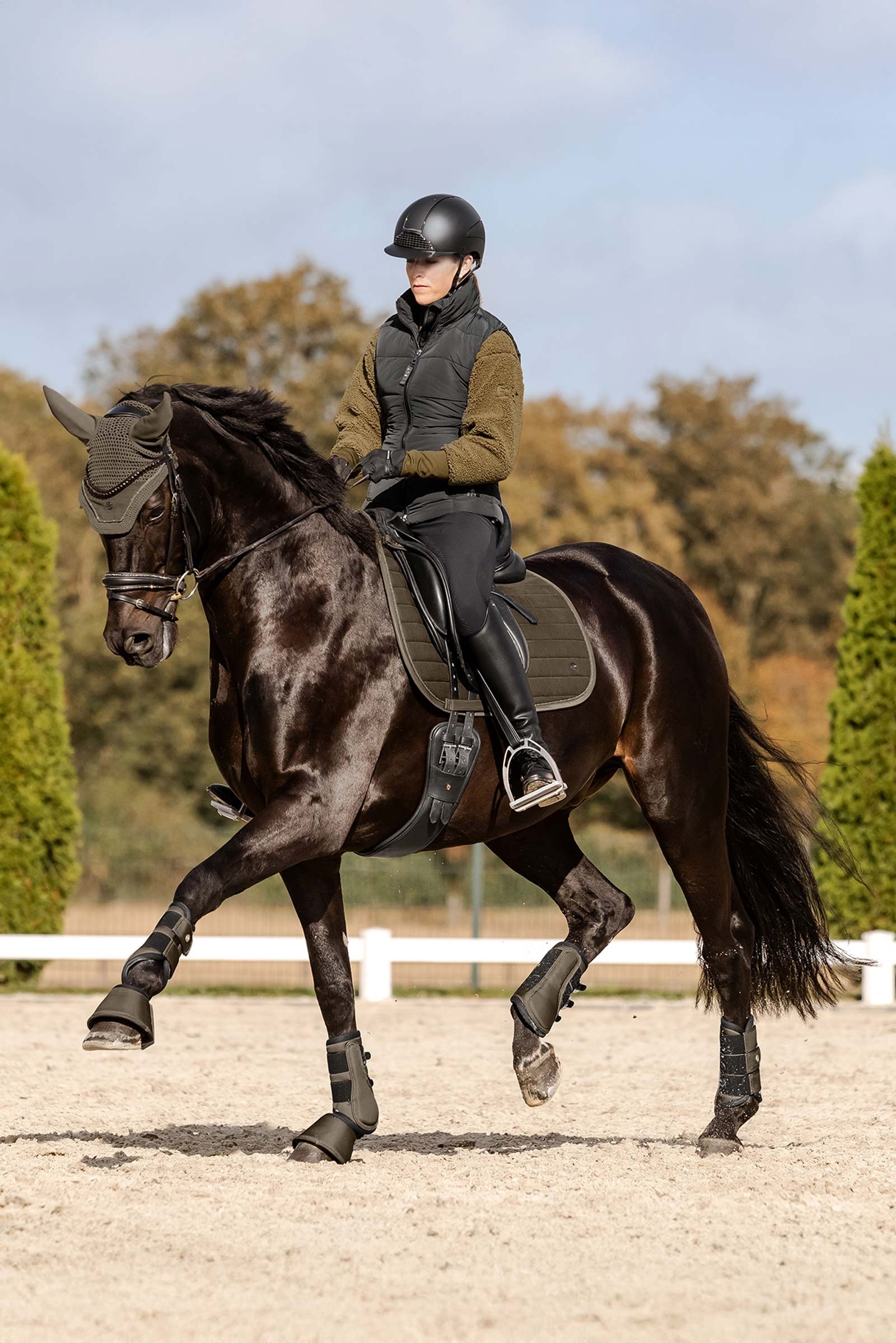 Green Brown Waldhausen St. Gallen All Purpose Saddle Pad 