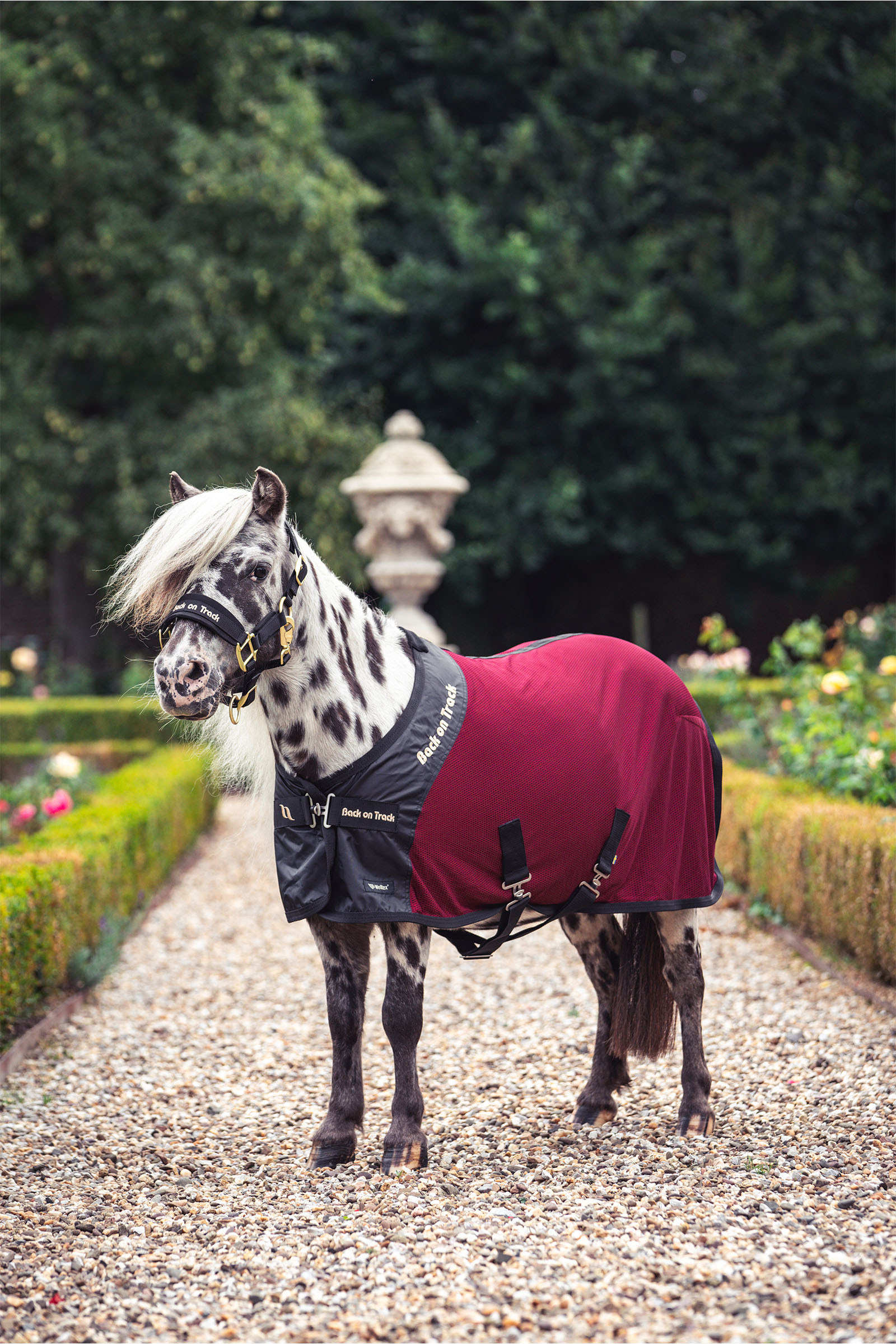 Back on Track Royal Coperta in Rete per Pony Deluxe