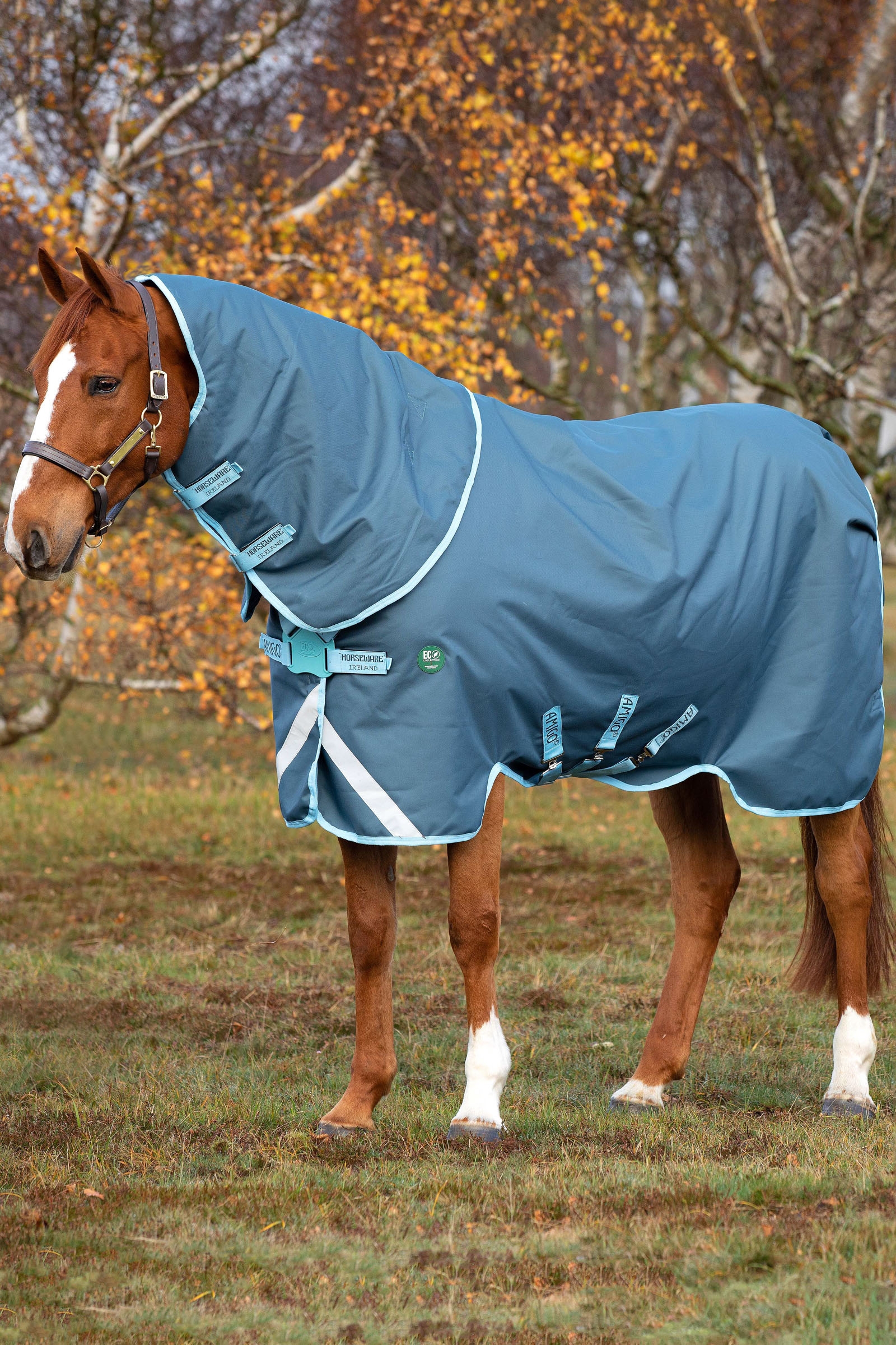 Horseware Amigo AmEco 12 Plus incl. Detachable Hood, 250g