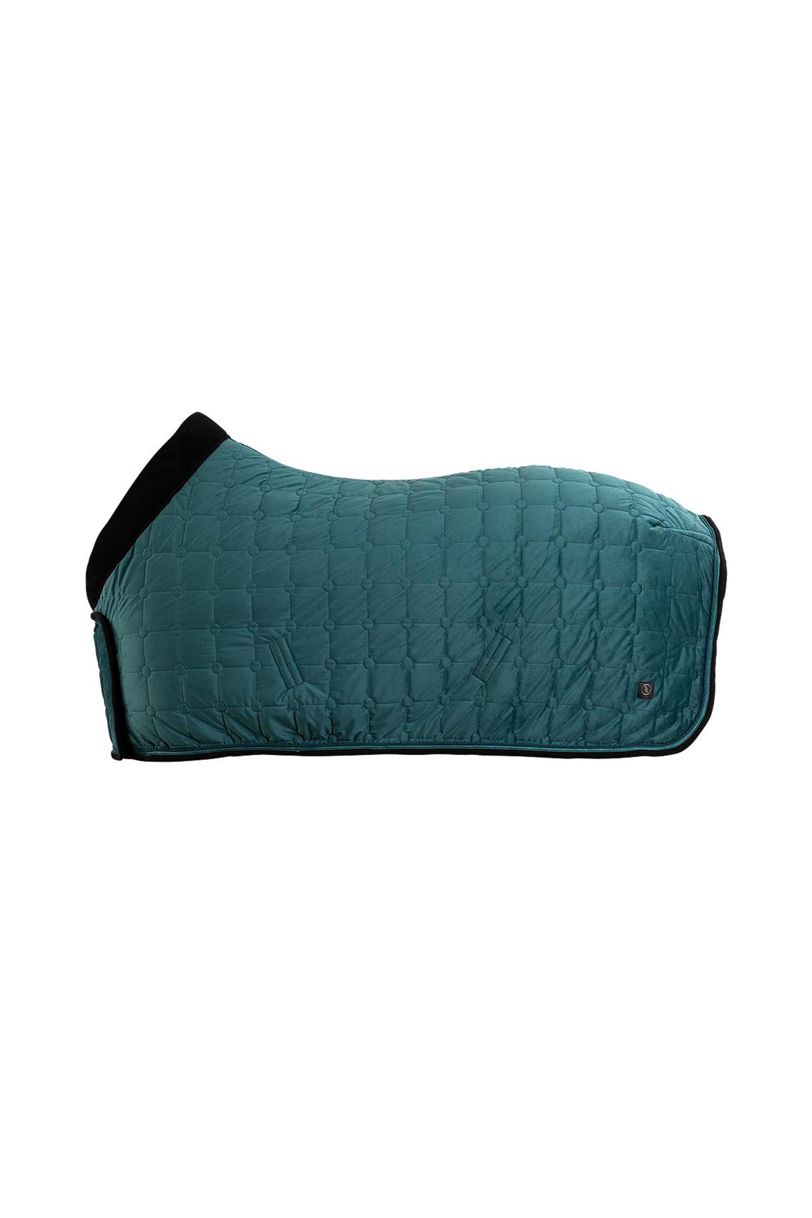 Sea Spine BR CLX coperta da show