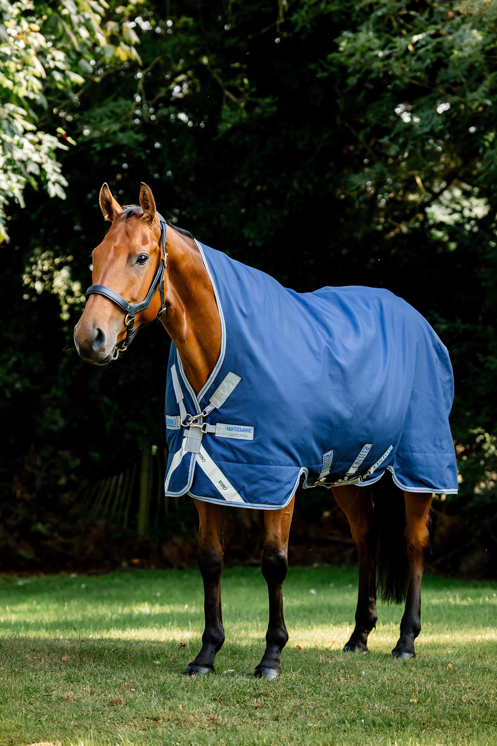 Horseware Rhino Wug coperta da paddock, 100 g