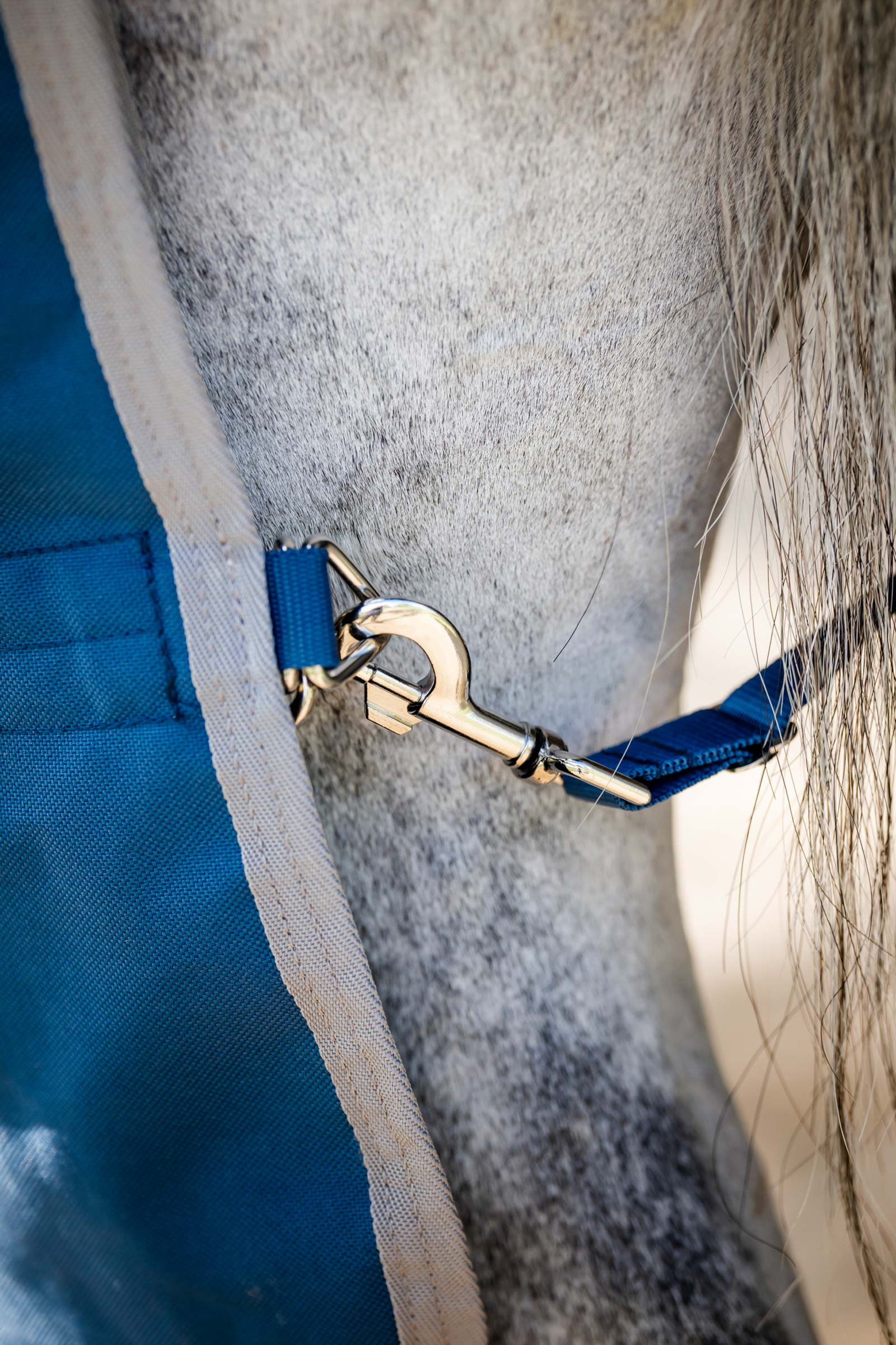 Horseware Ionic Therapy Coperta da turnout leggera, 100g