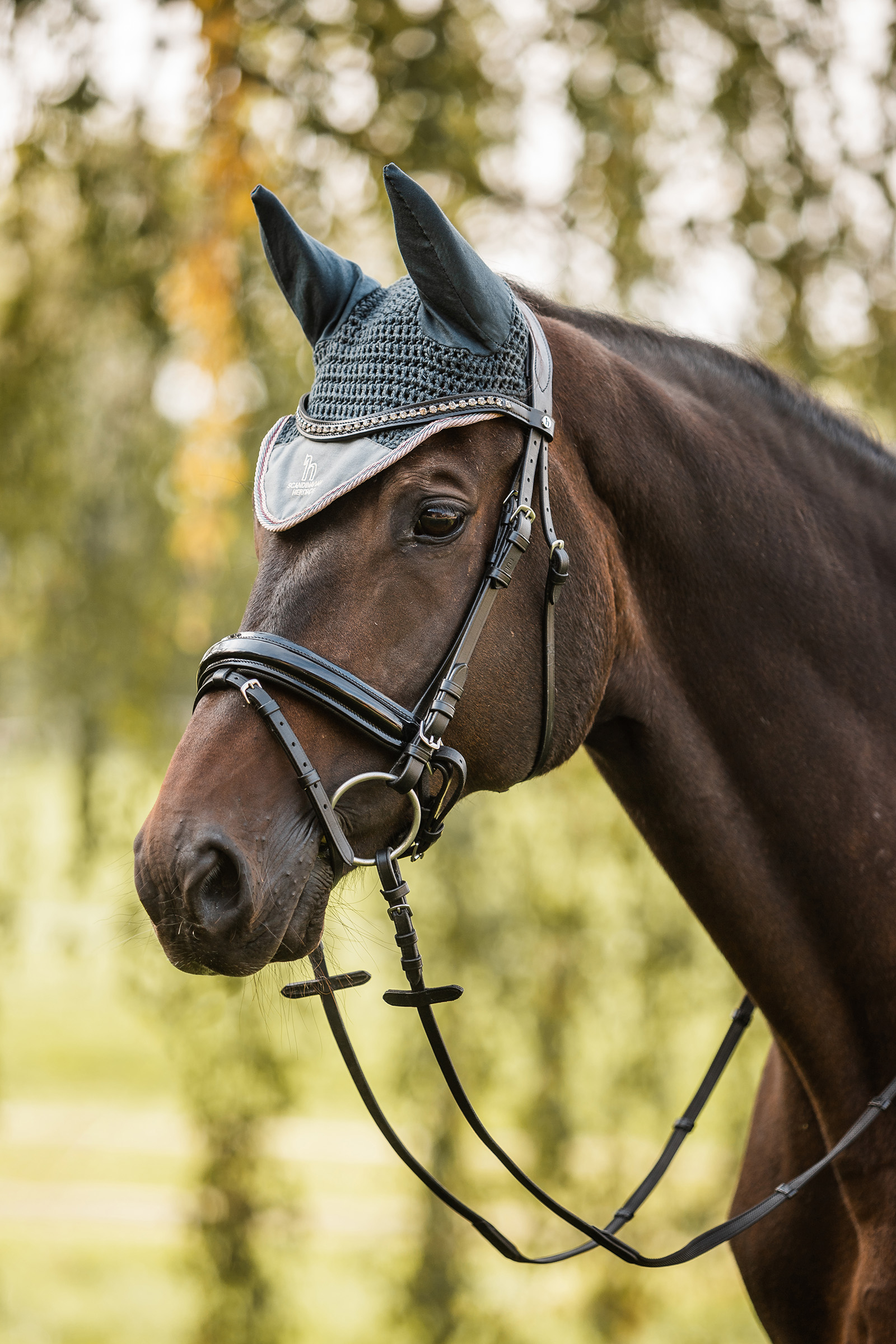 Horze Leighton Cuffiette per cavalli Teens Collection