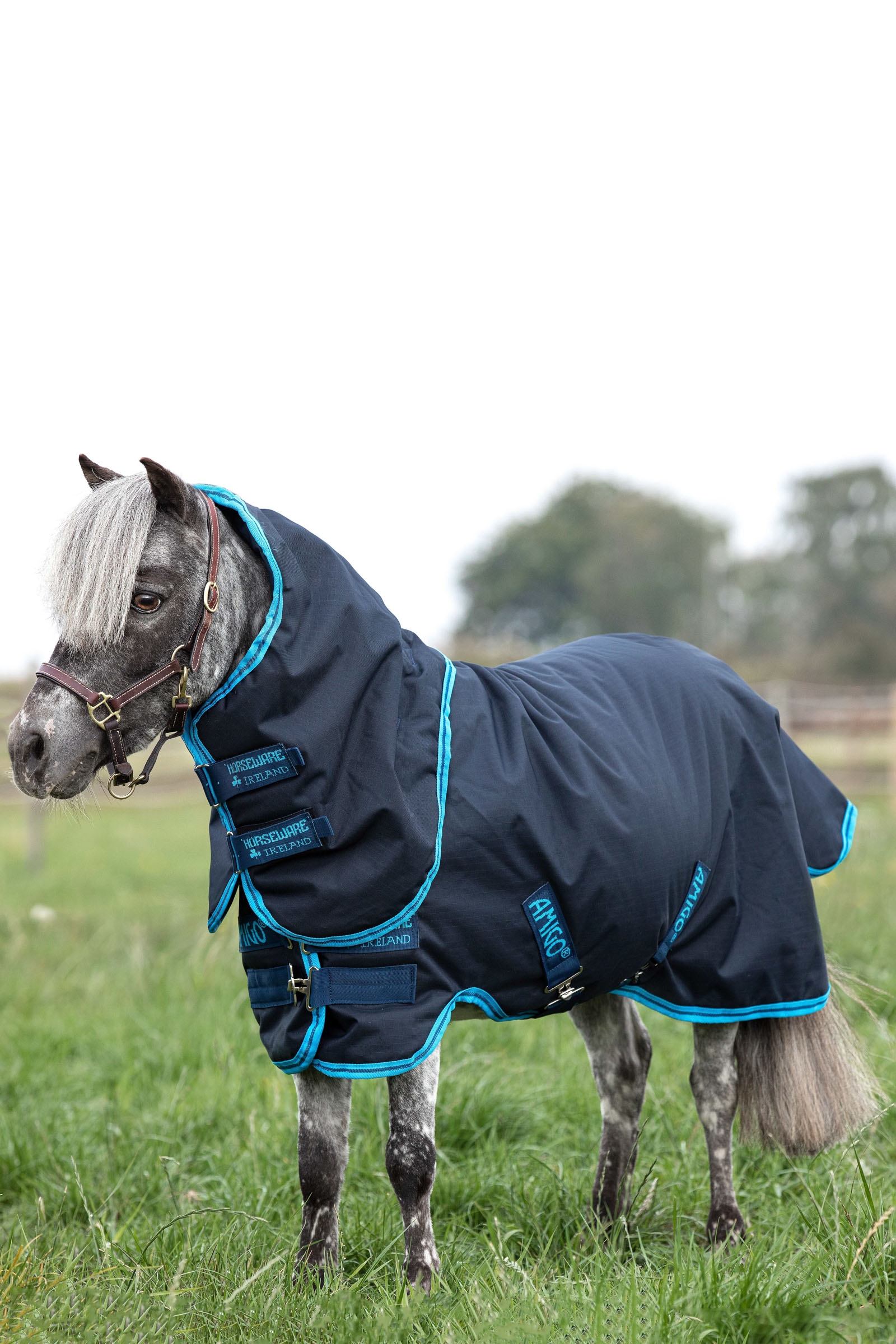 Horseware Amigo Hero 6 Petite Plus Turnout incl. Detachable Hood, 200g