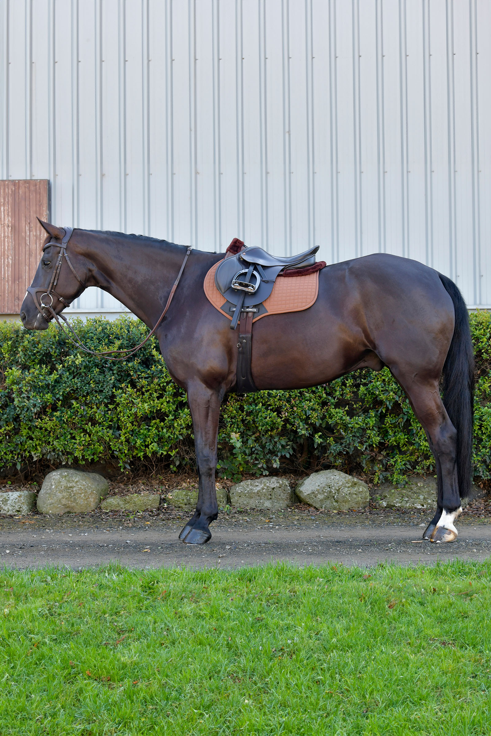 Weatherbeeta Prime Comfy Fleece sottosella da salto