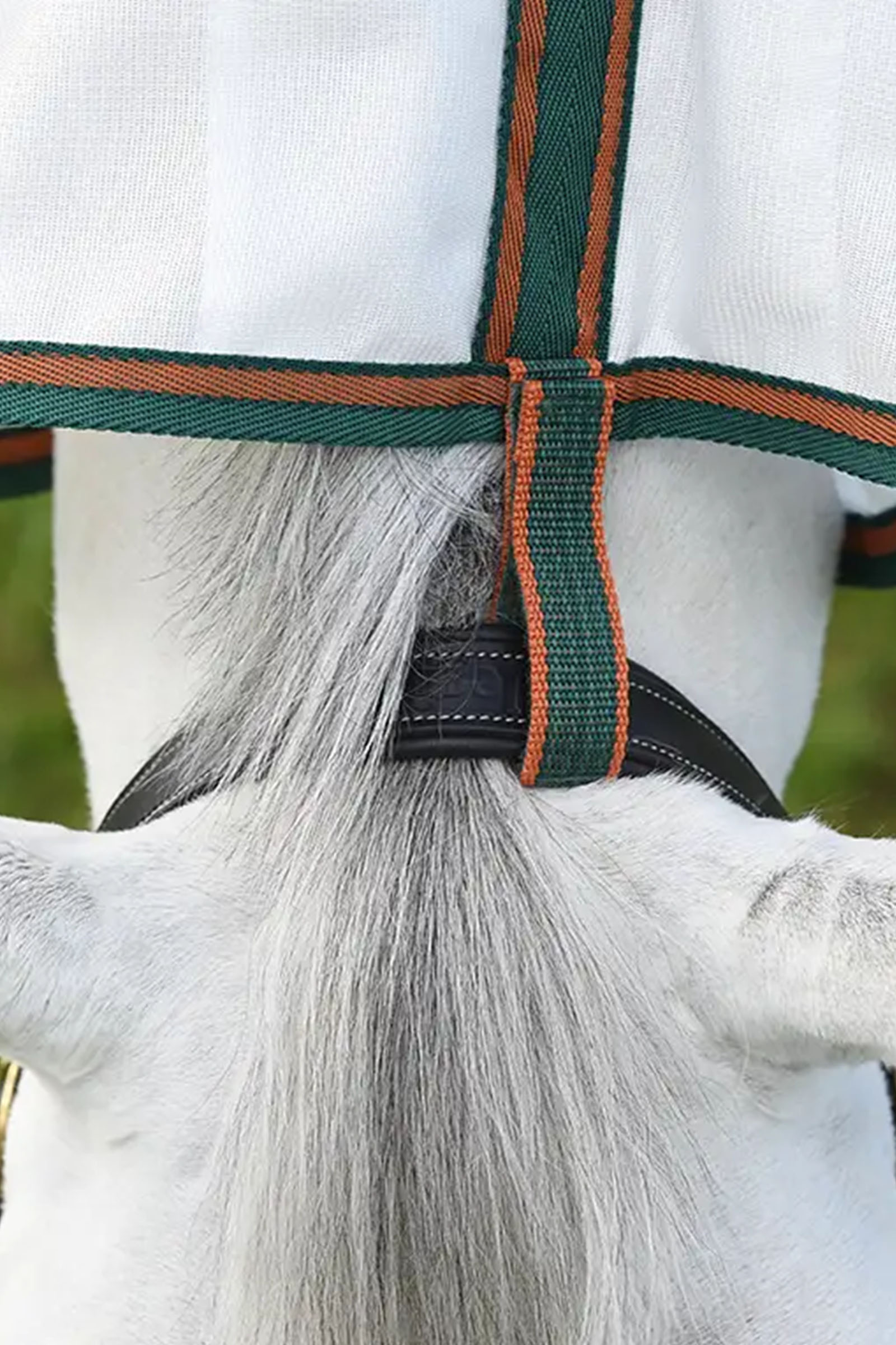 Weatherbeeta Comfitec Tyro coperta in mesh con collo integrato