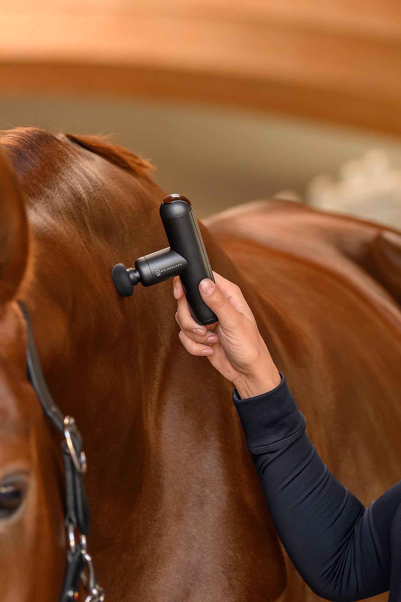 Waldhausen Health + Care dispositivo massaggiante Pocket Relax