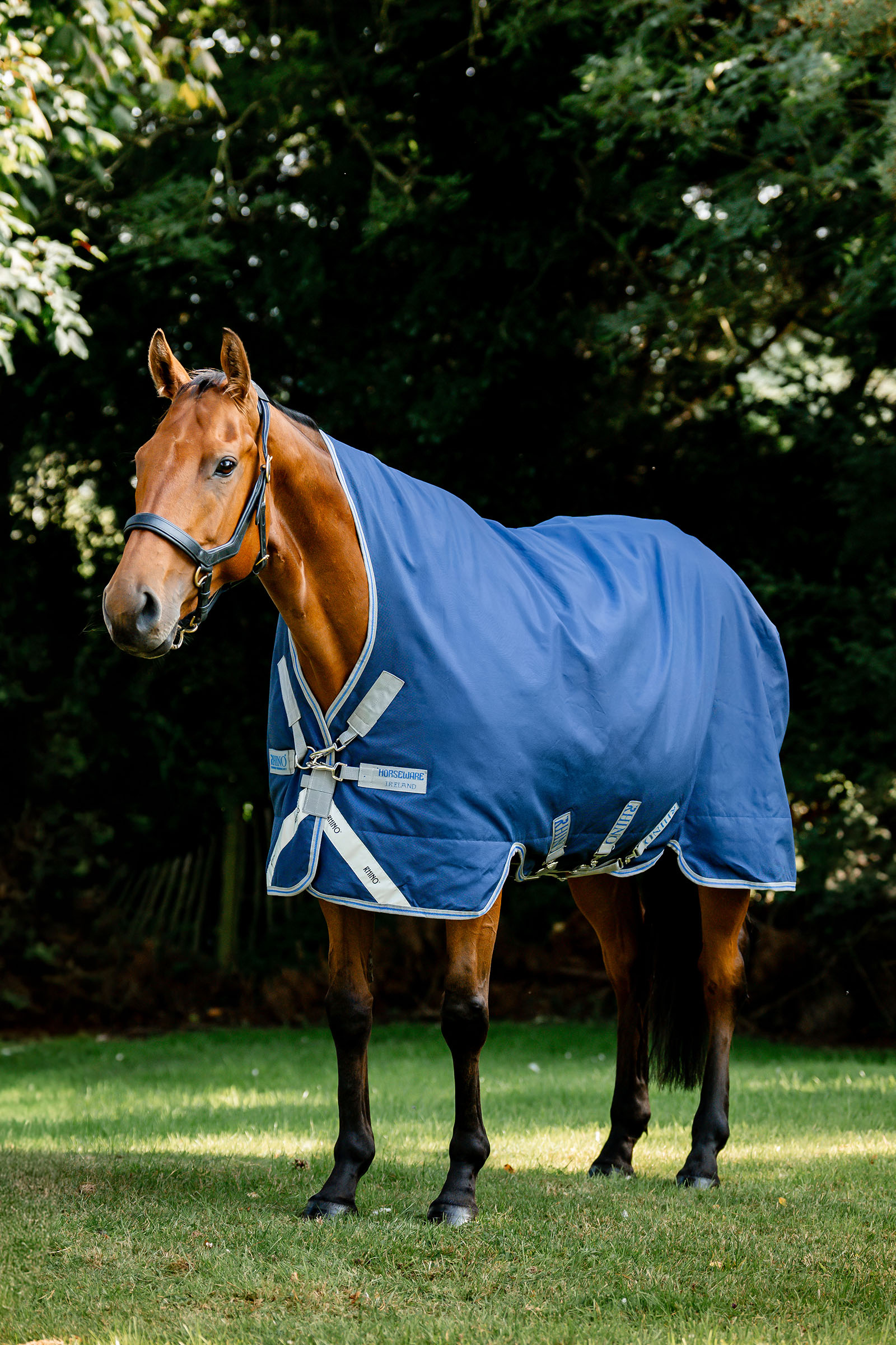 Horseware Rhino Wug coperta da paddock, 100 g