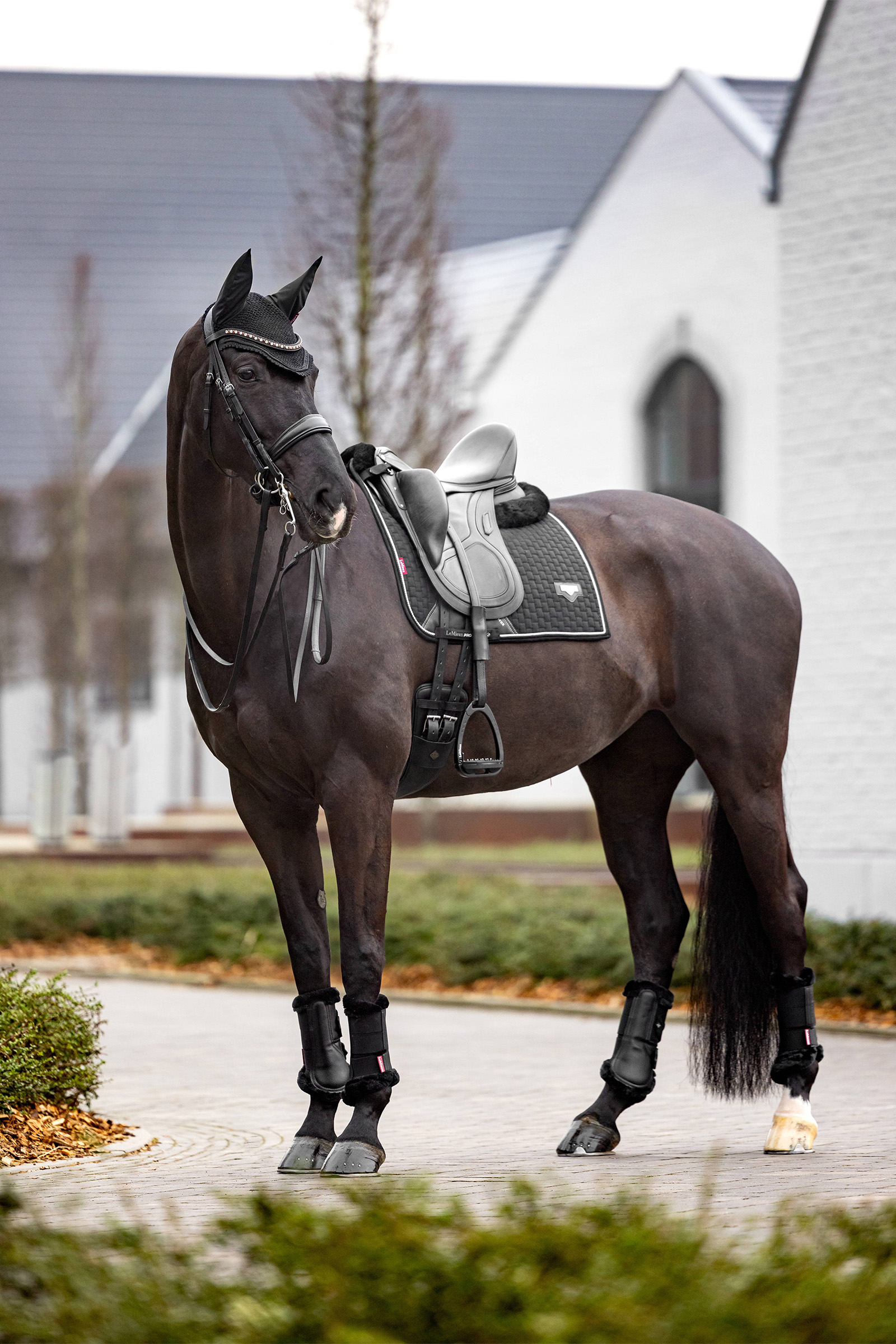 LeMieux Puissance sottosella dressage in similpelle scamosciata