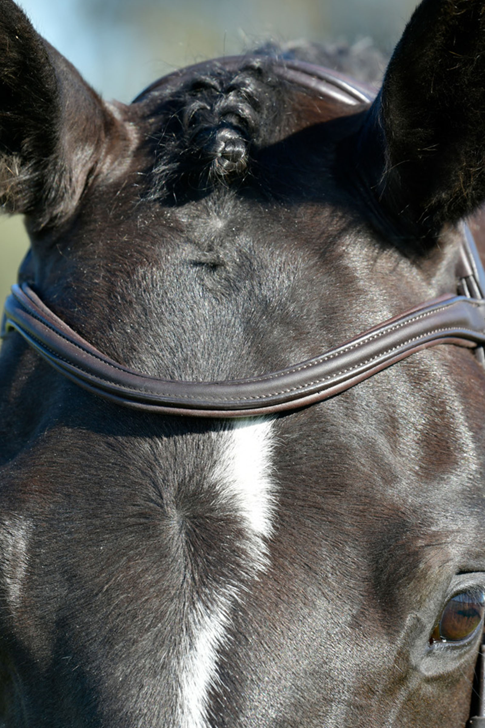 Collegiate Comfitec Opulux testiera semplice imbottita con capezzina combinata hannoveriana