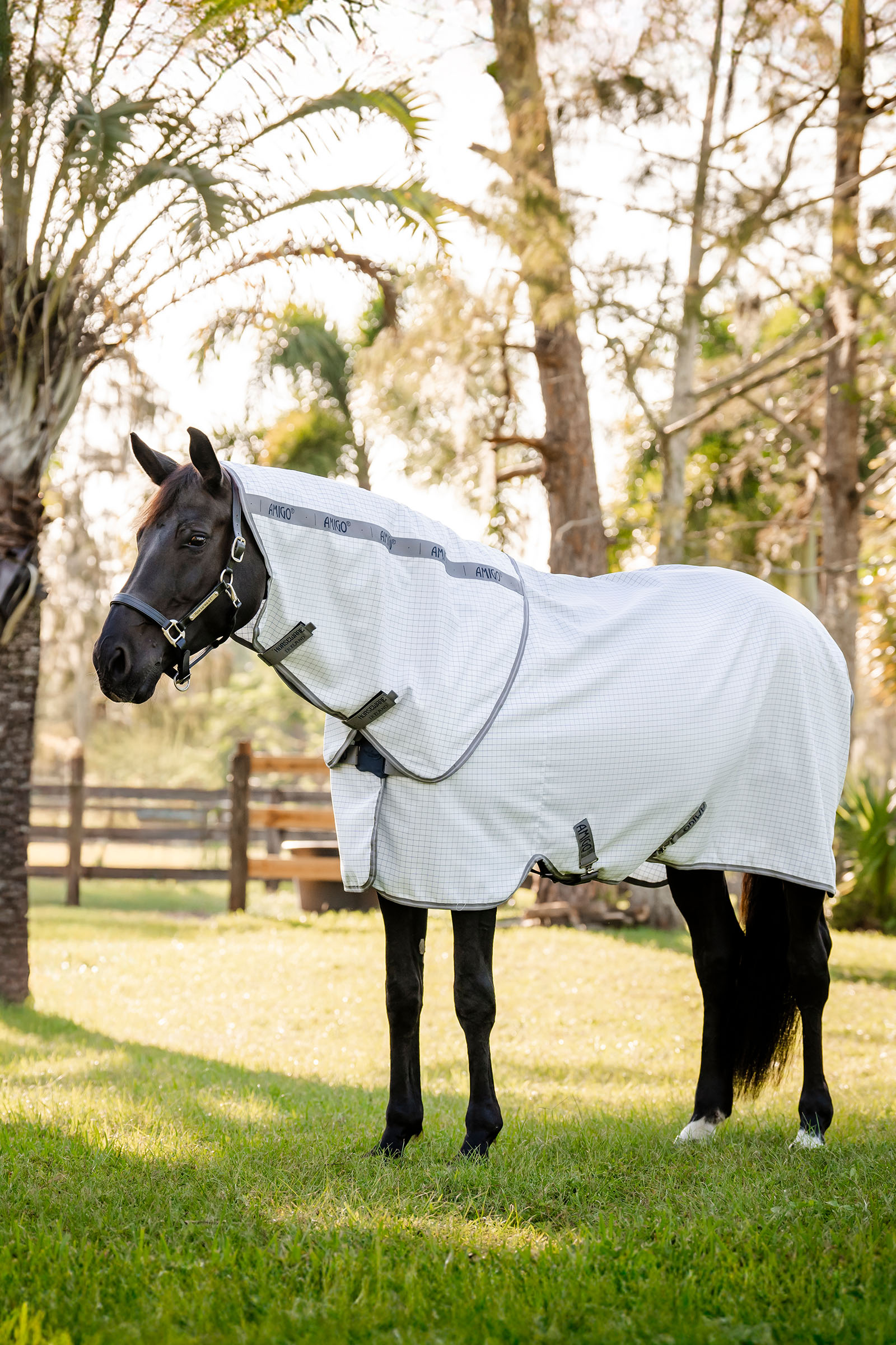 Horseware Amigo Coperta antimosche Plus
