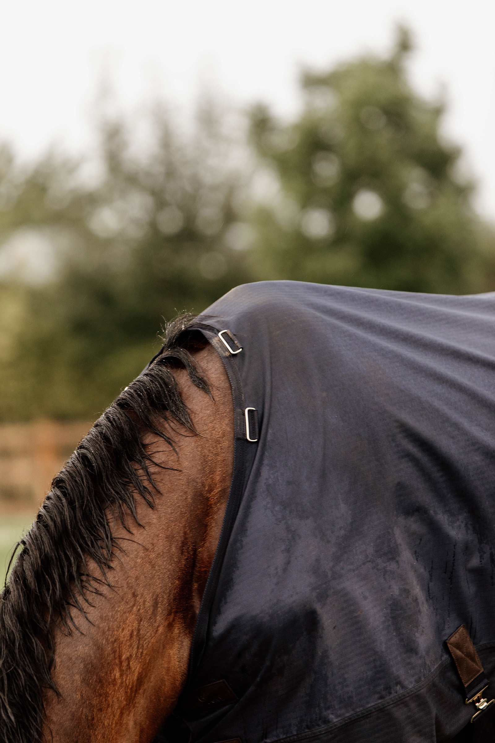 Tappeto Kentucky Horsewear Turnout per tutte le stagioni, 300 g