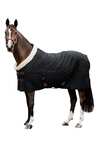 Kentucky Horsewear Coperta da concorso, 160 gr