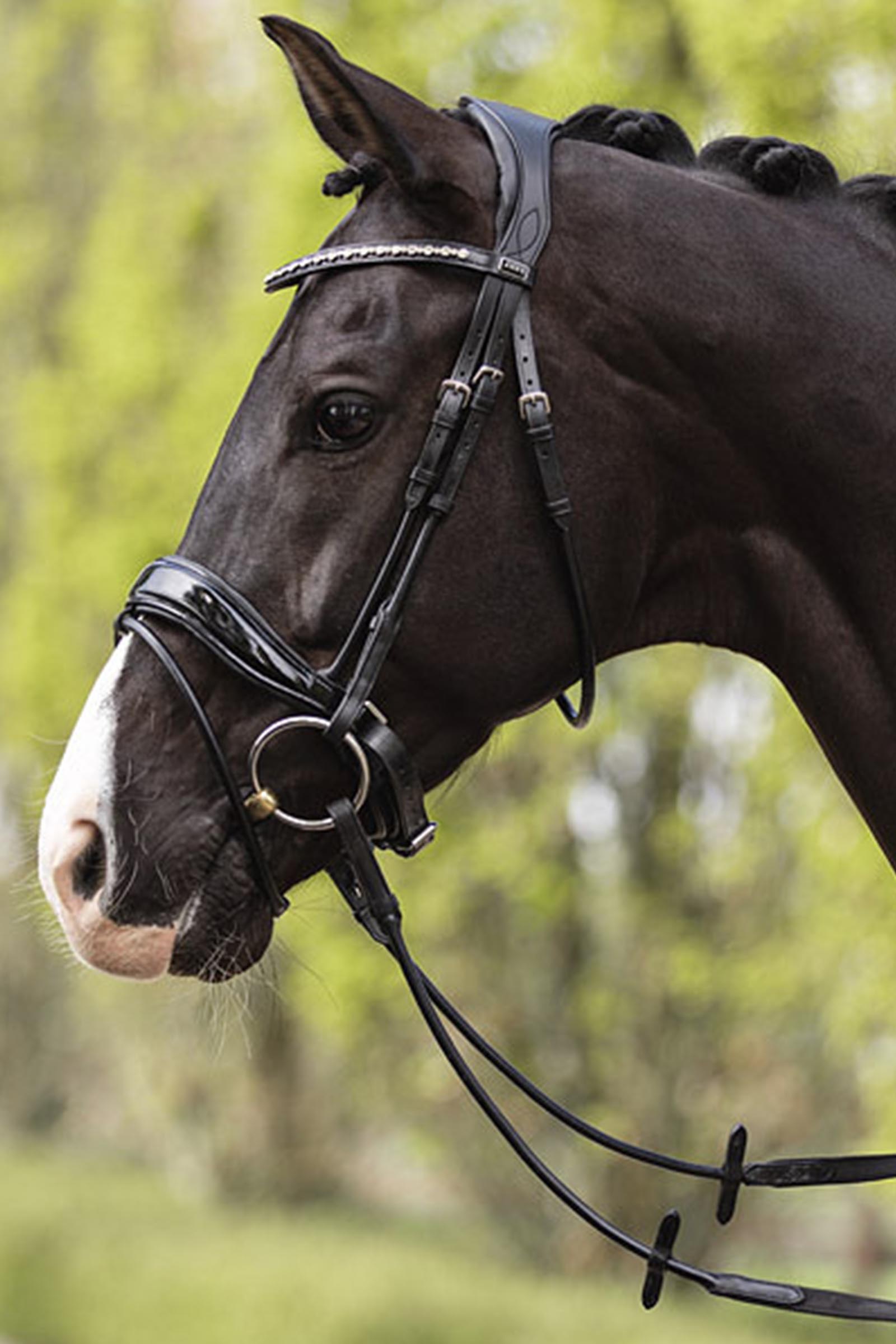 ANKY Anatomic Comfort Fit Briglia con doppio pull back