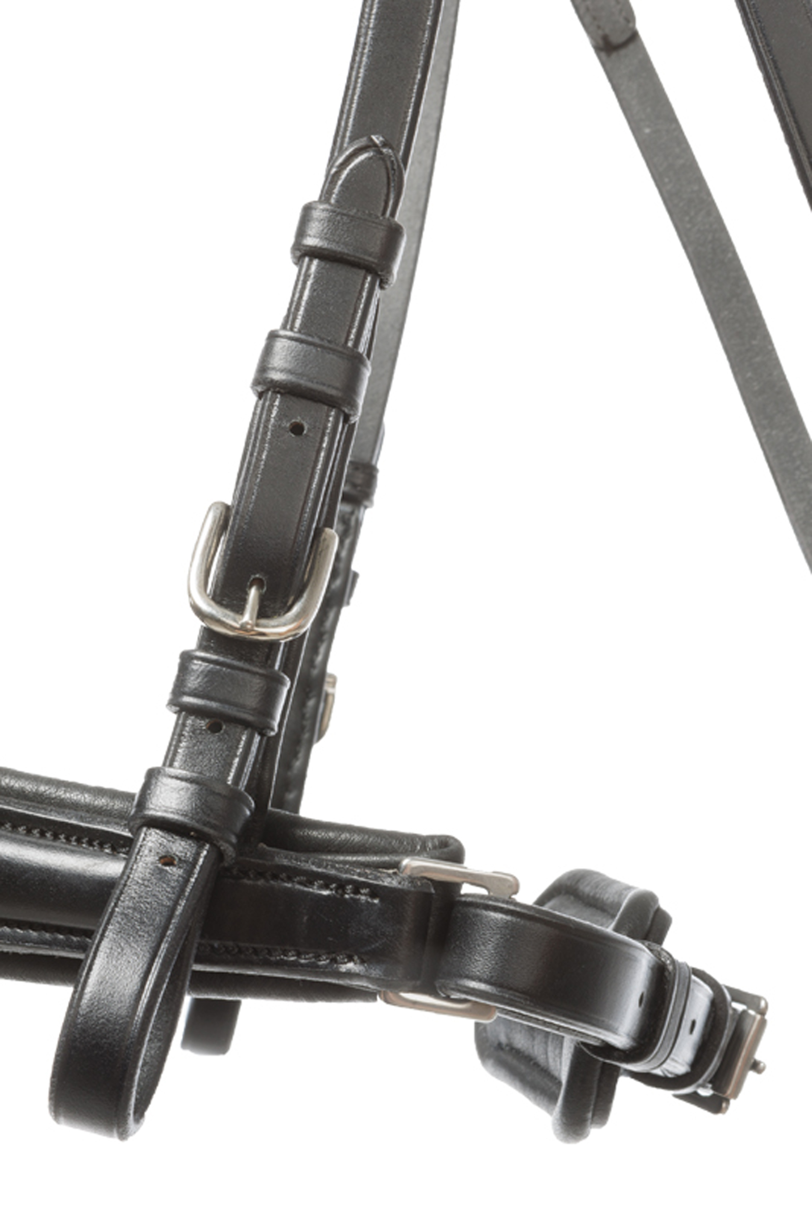 Briglia Kavalkade Ayana KavalSH4