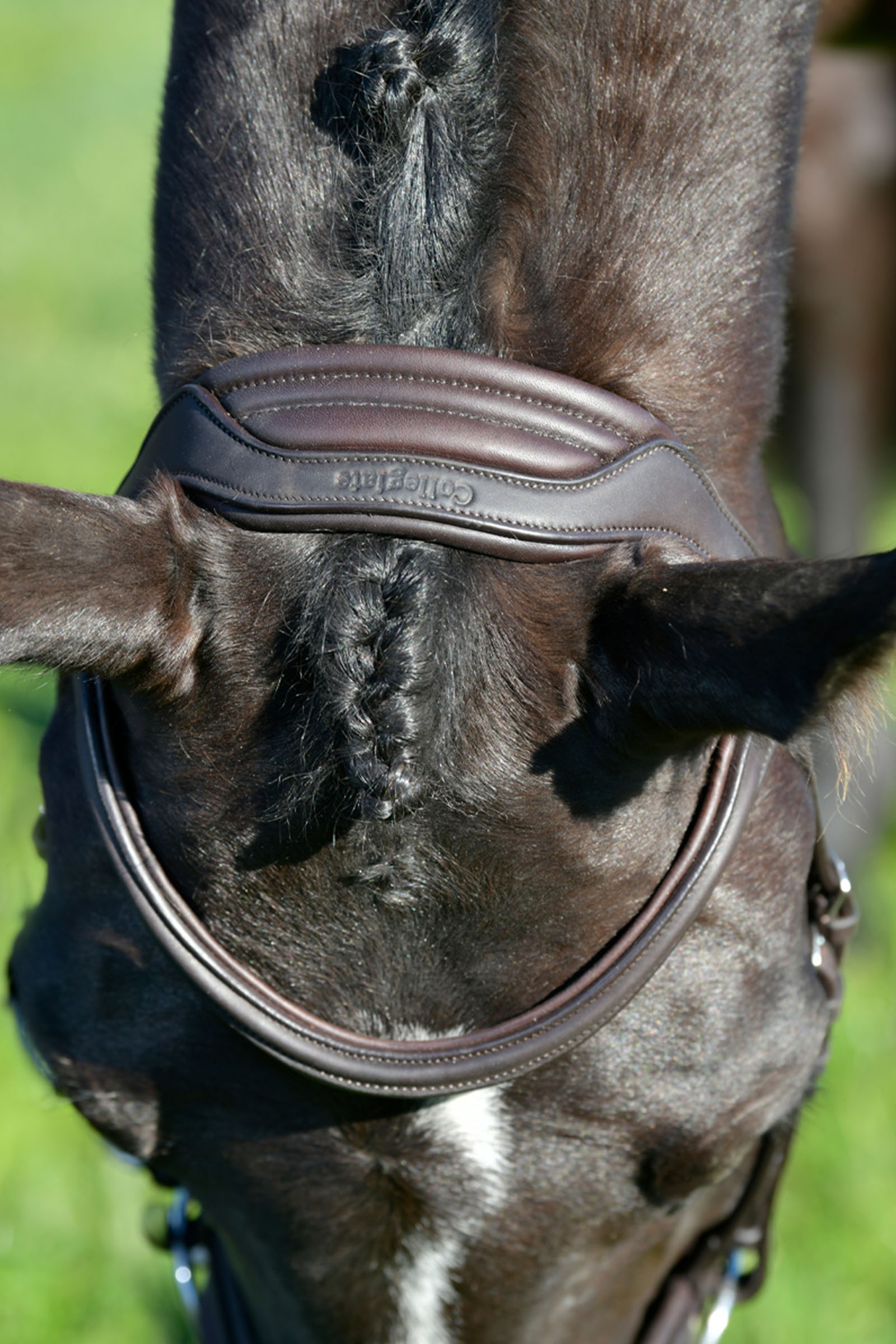 Collegiate Comfitec Opulux testiera semplice imbottita con capezzina combinata hannoveriana