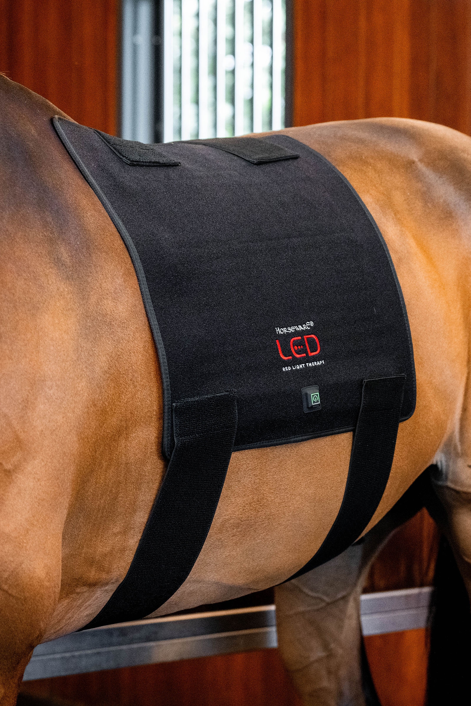 Horseware Pad terapeutico a LED con luce rossa