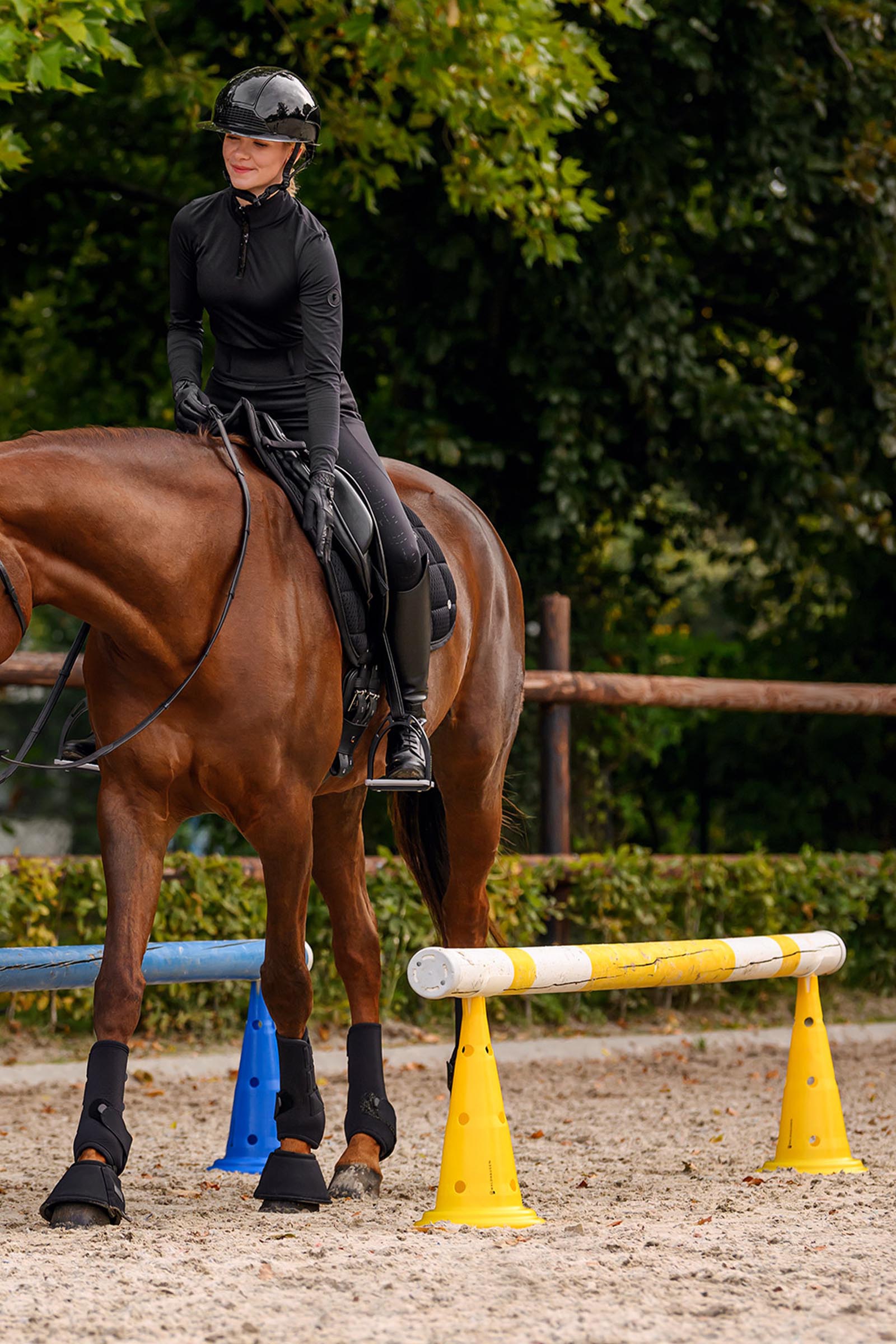 Waldhausen supporto plastica per barriere su coni