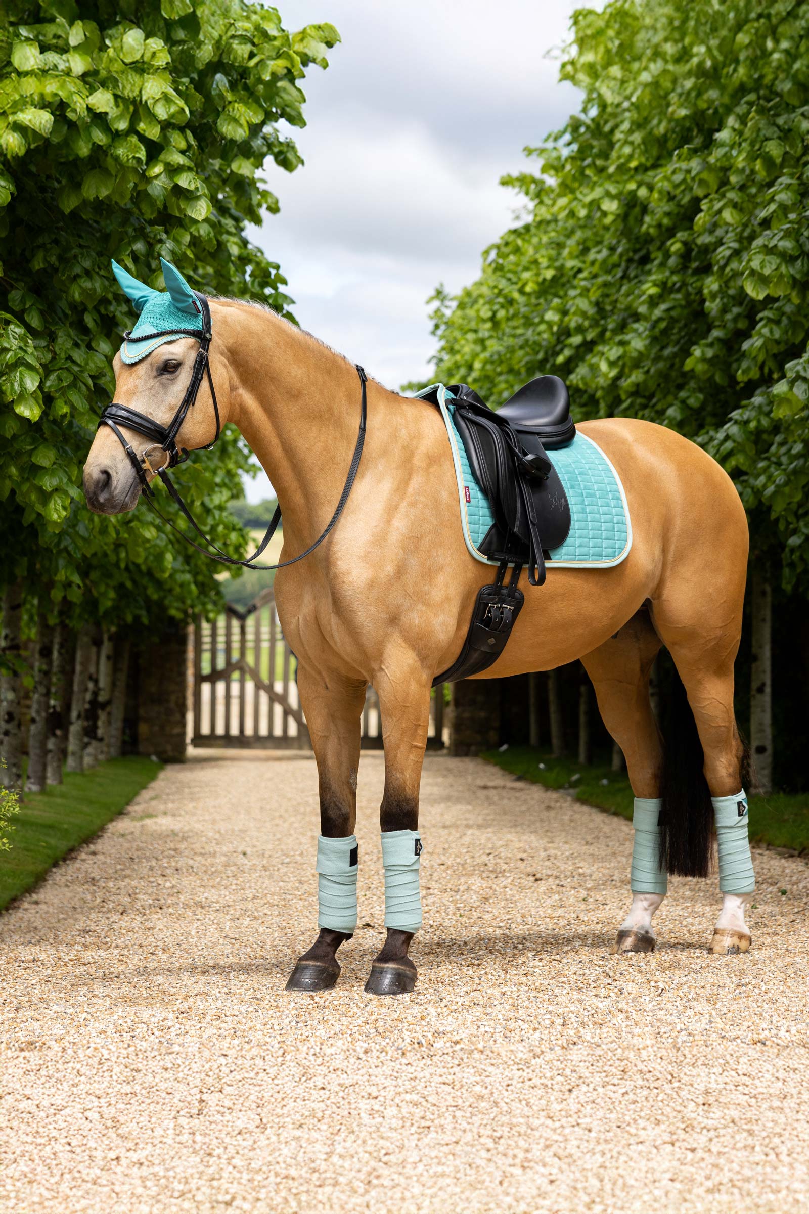 LeMieux Suede Square Sottosella da dressage