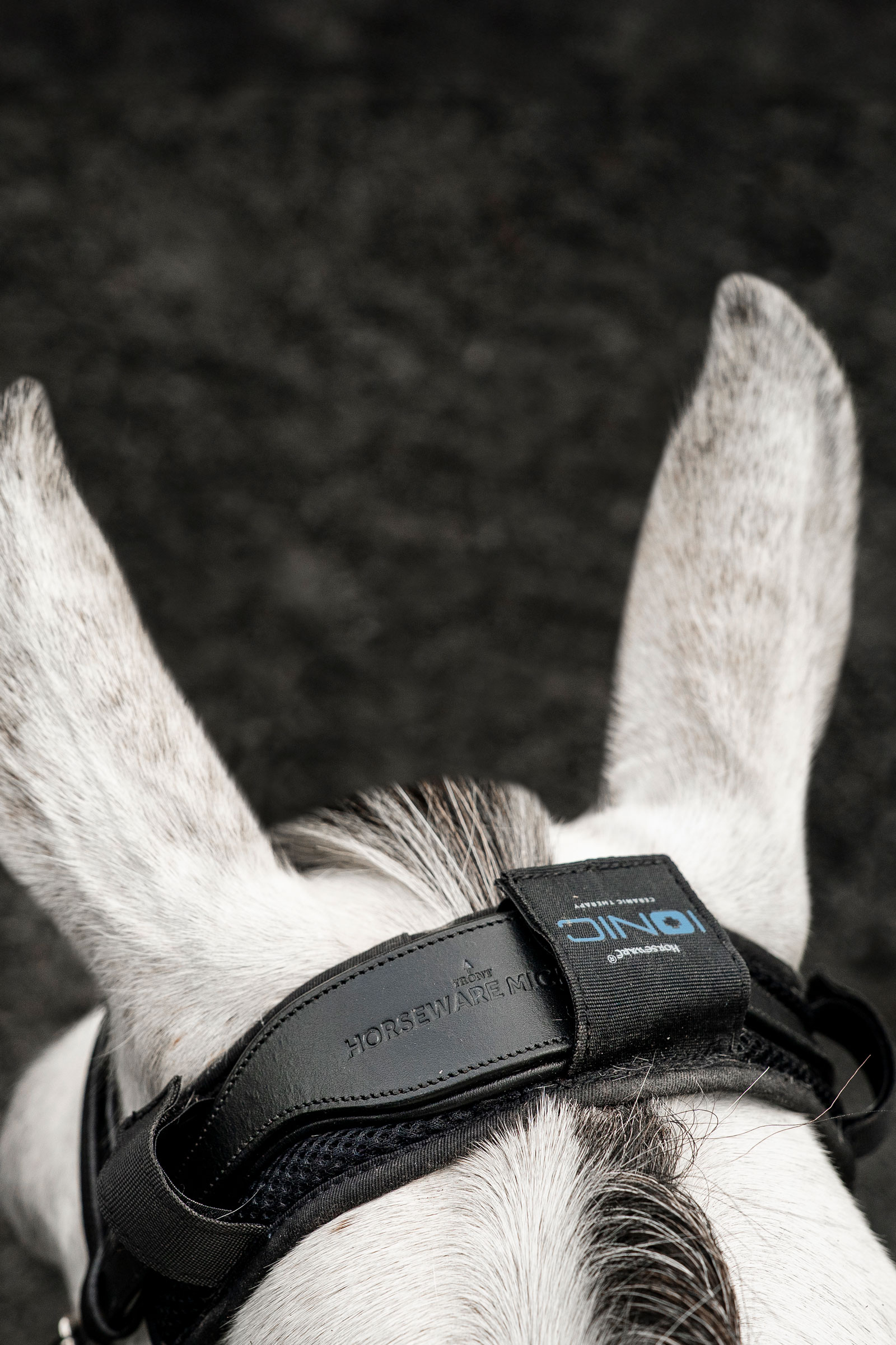 Horseware Ionic coprinuca